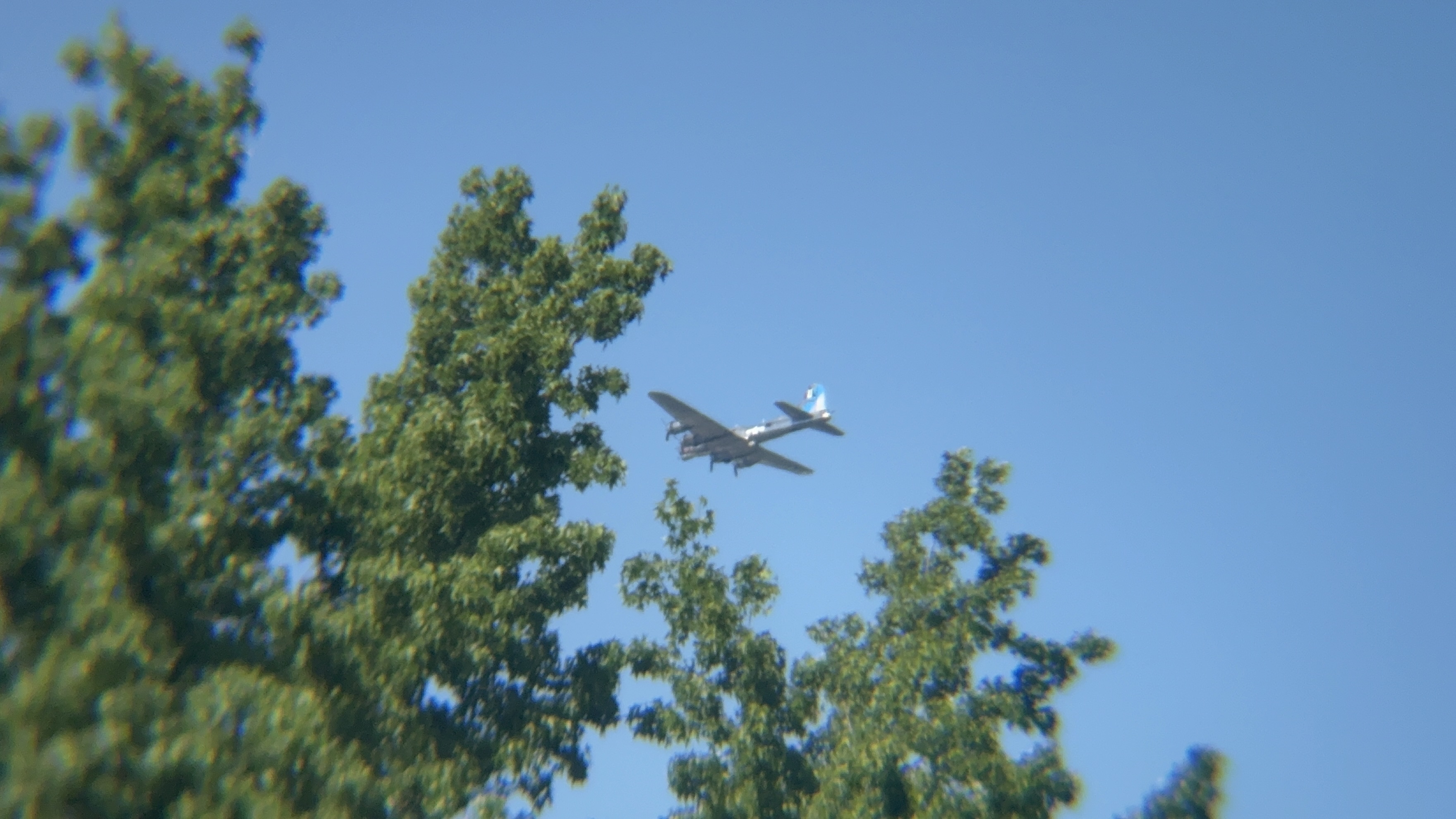 Spotting