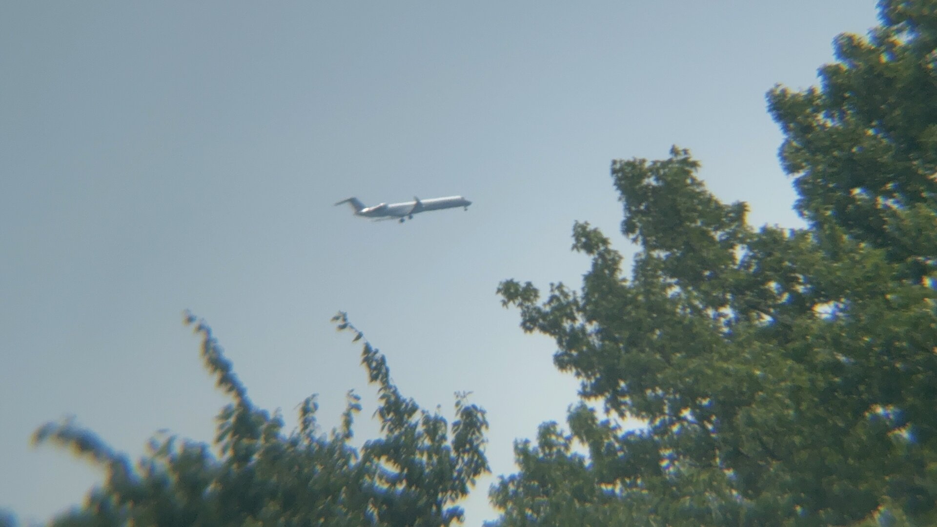 Spotting
