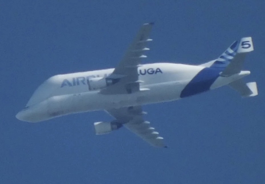 Spotting