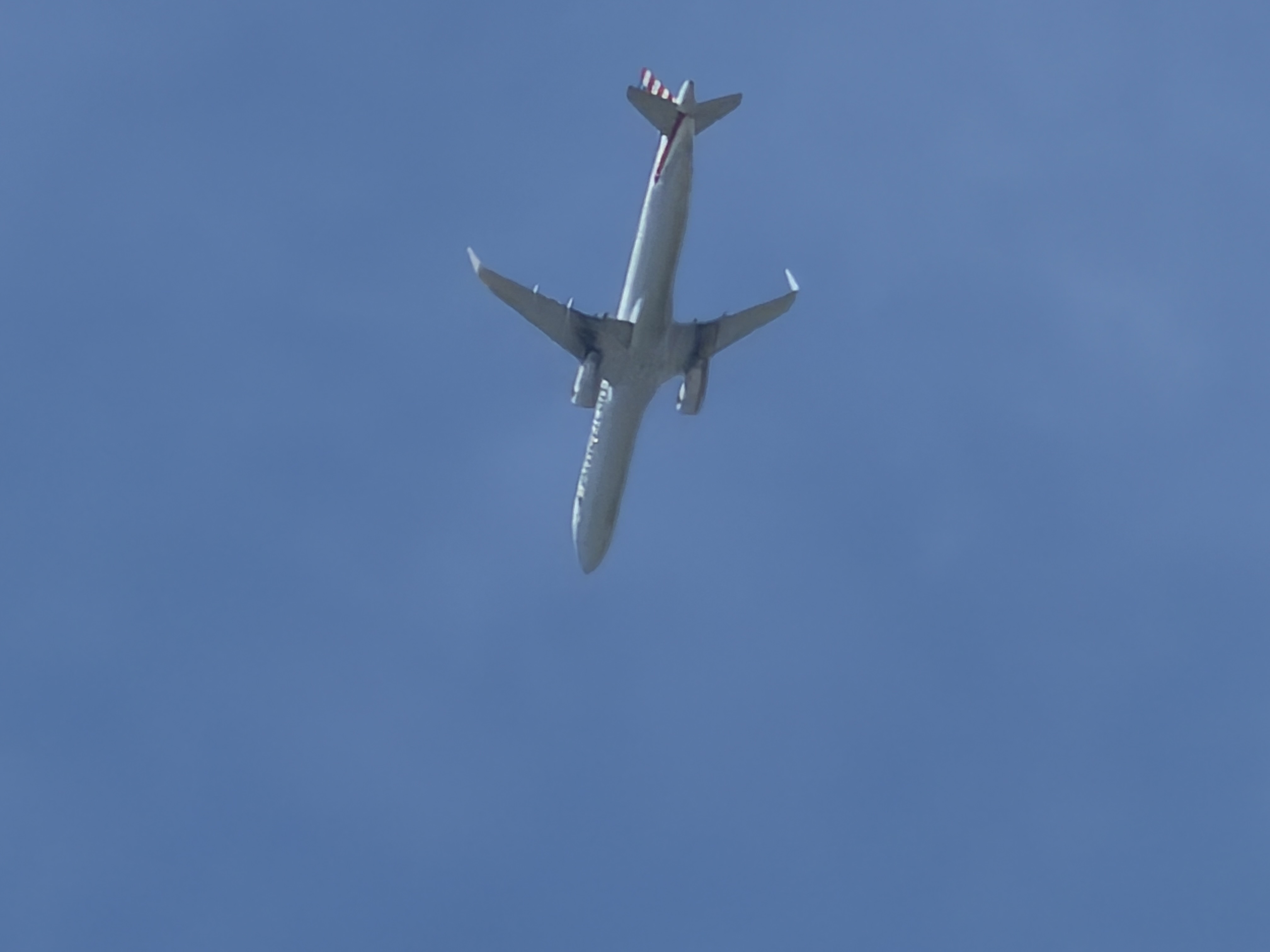 Spotting