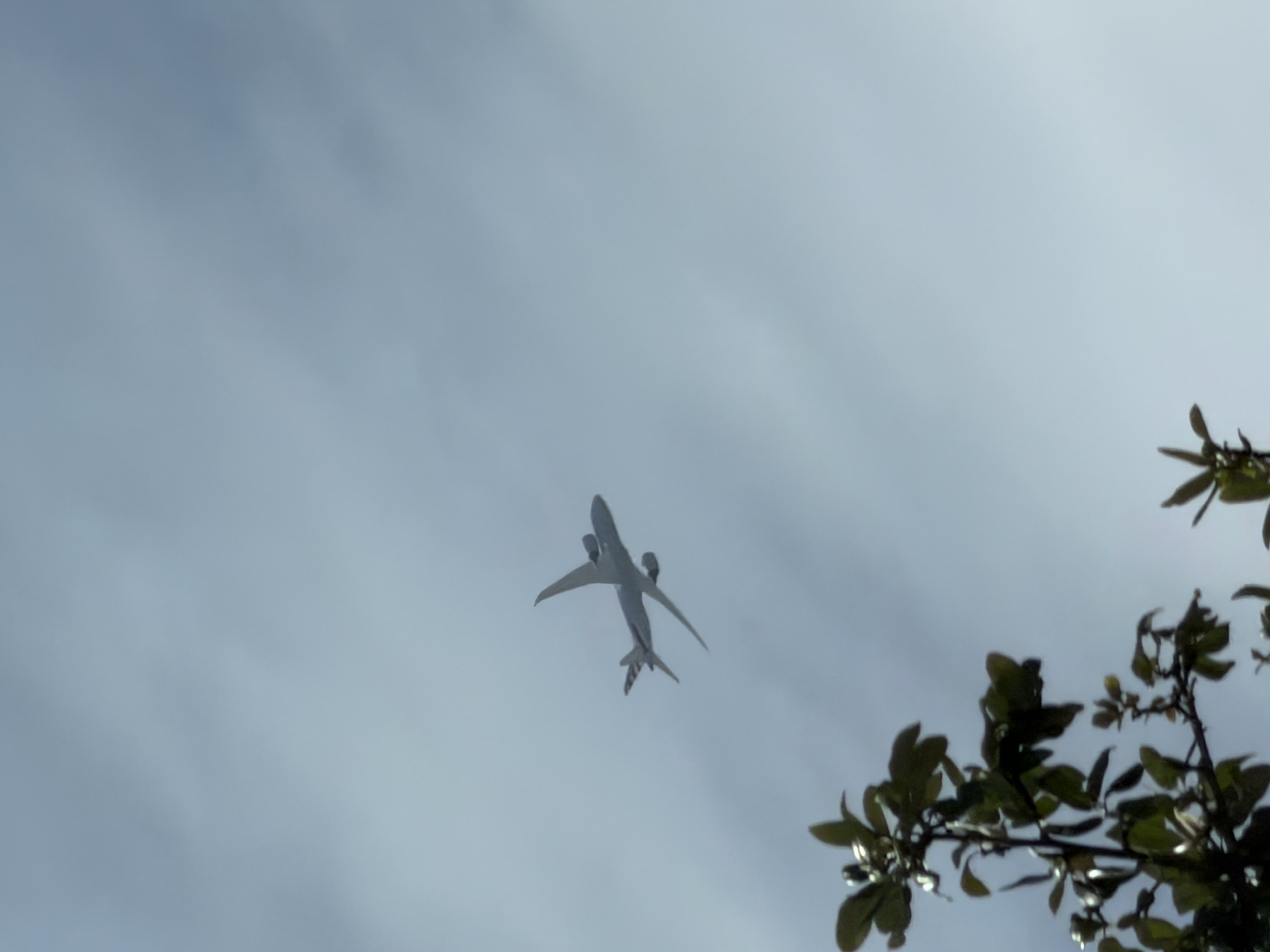 Spotting