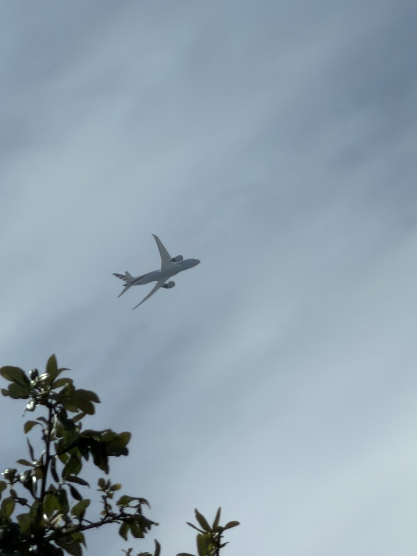 Spotting