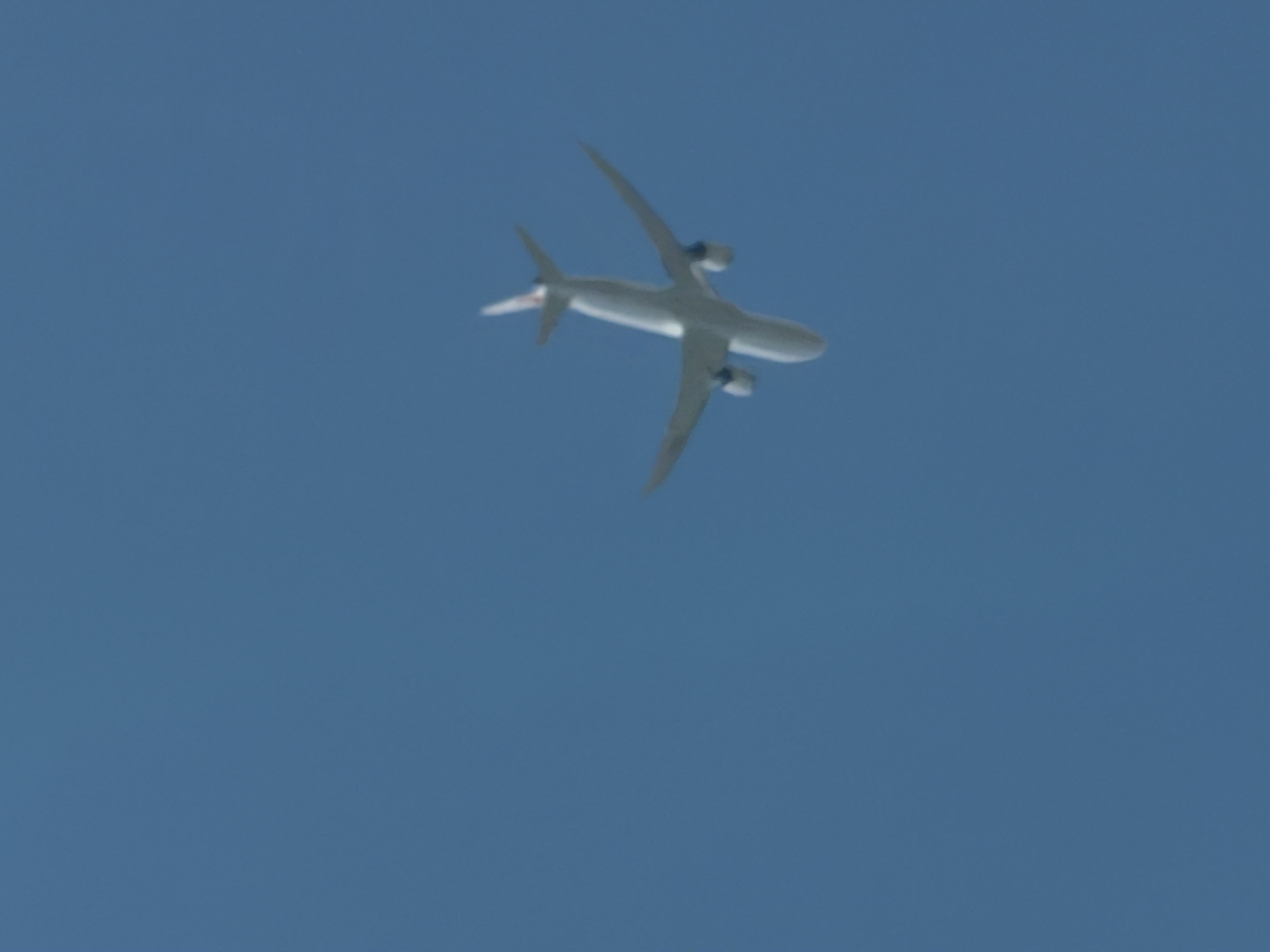 Spotting