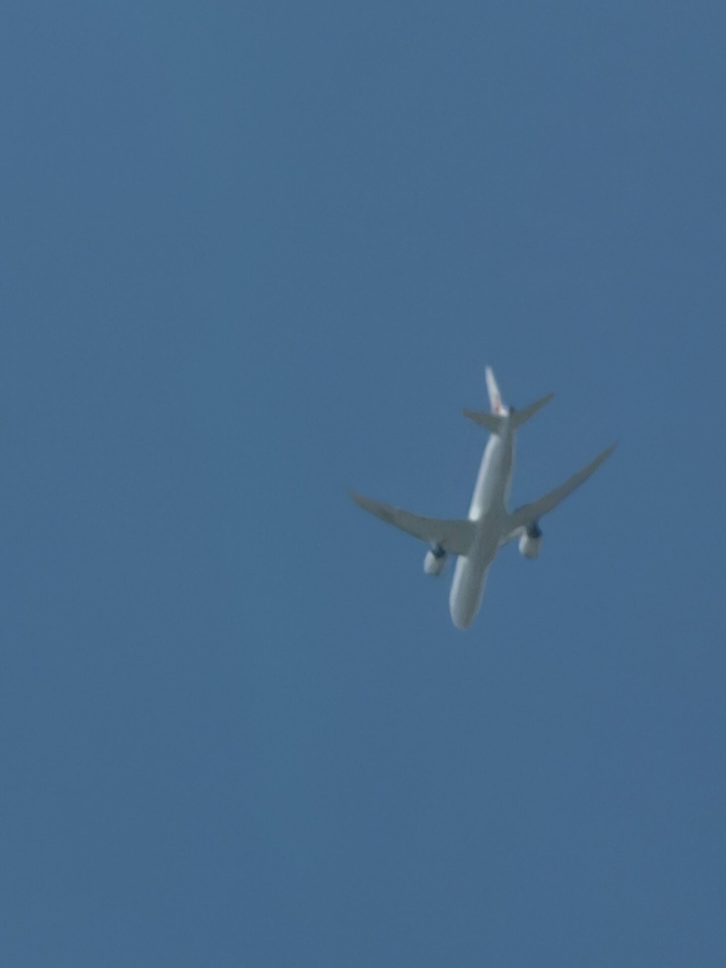 Spotting