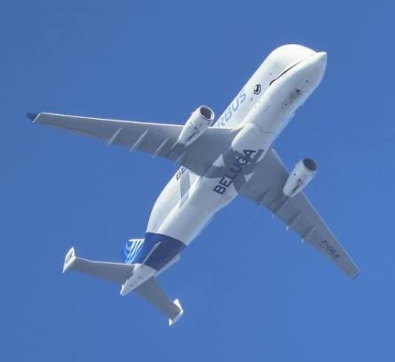 Spotting