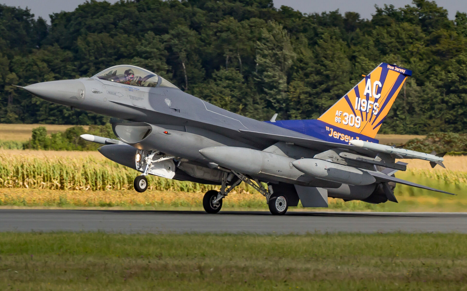 Lockheed Martin F-16C Fighting Falcon