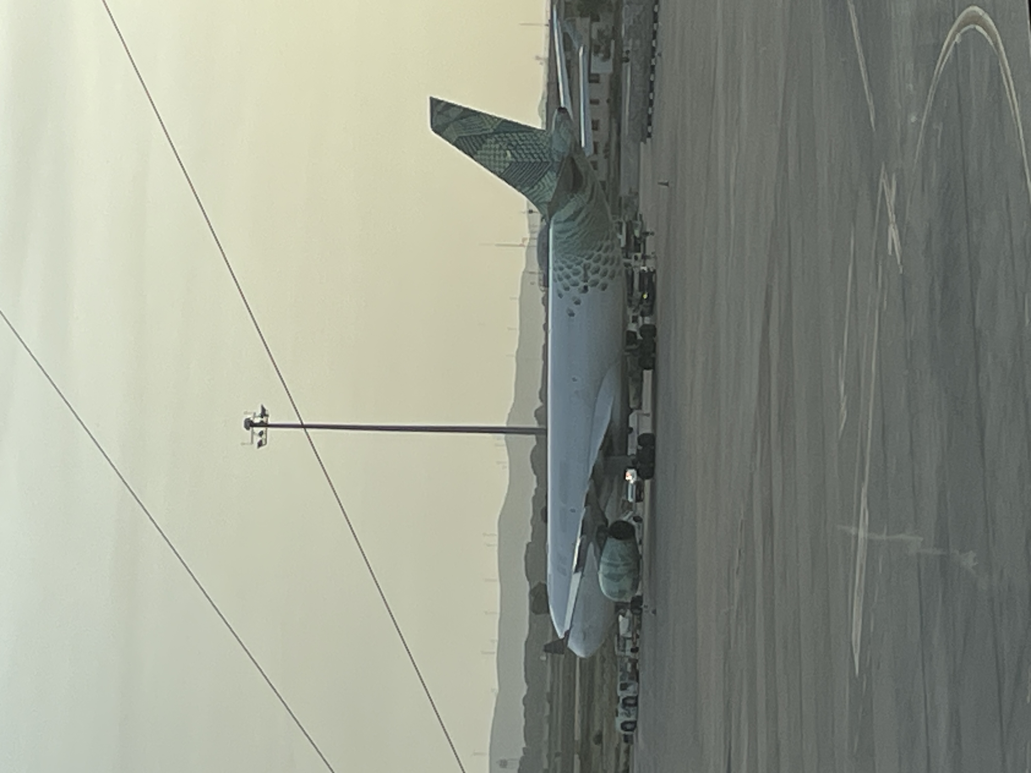 Spotting
