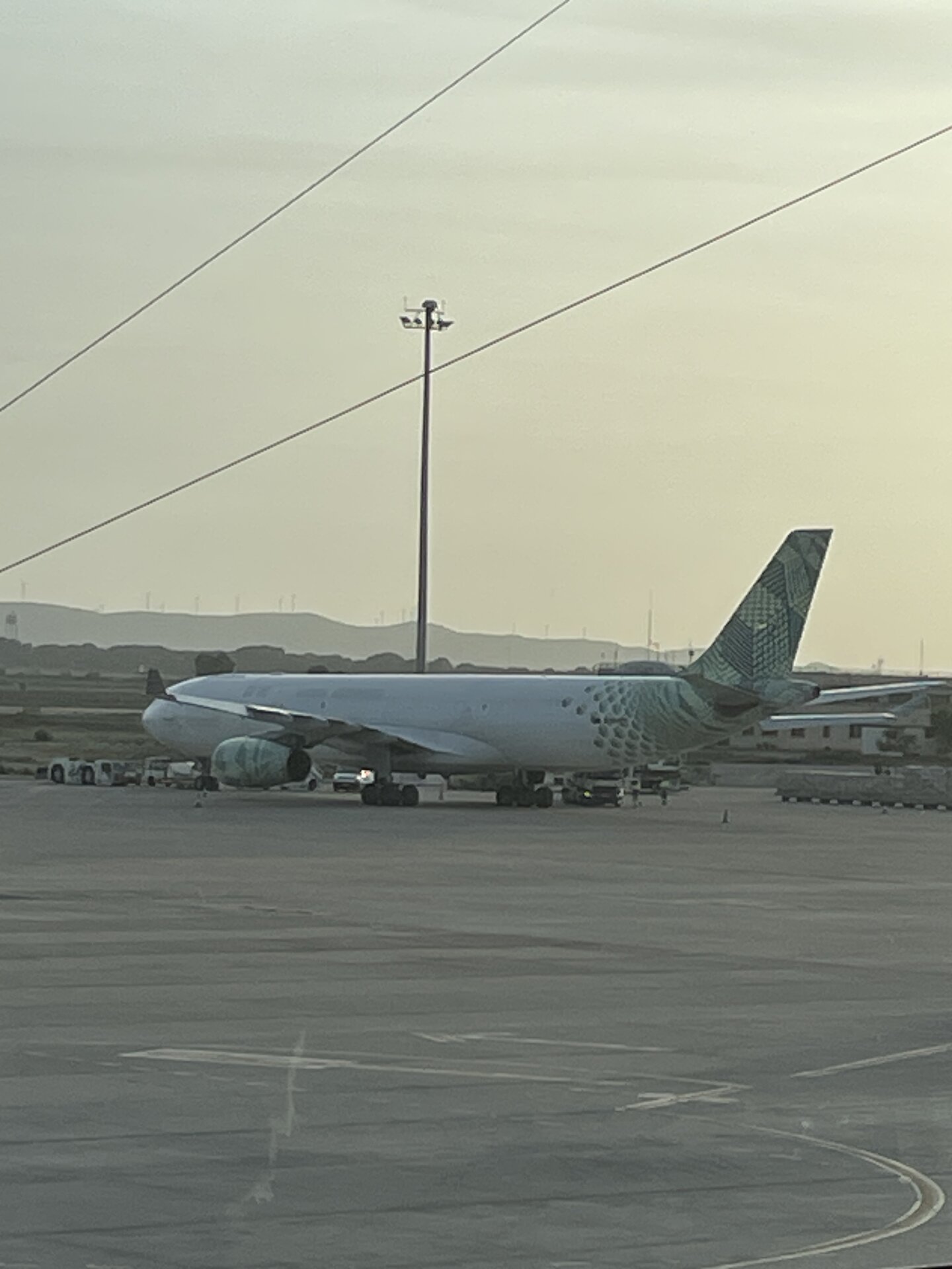 Airbus A330-343 ( P2F)