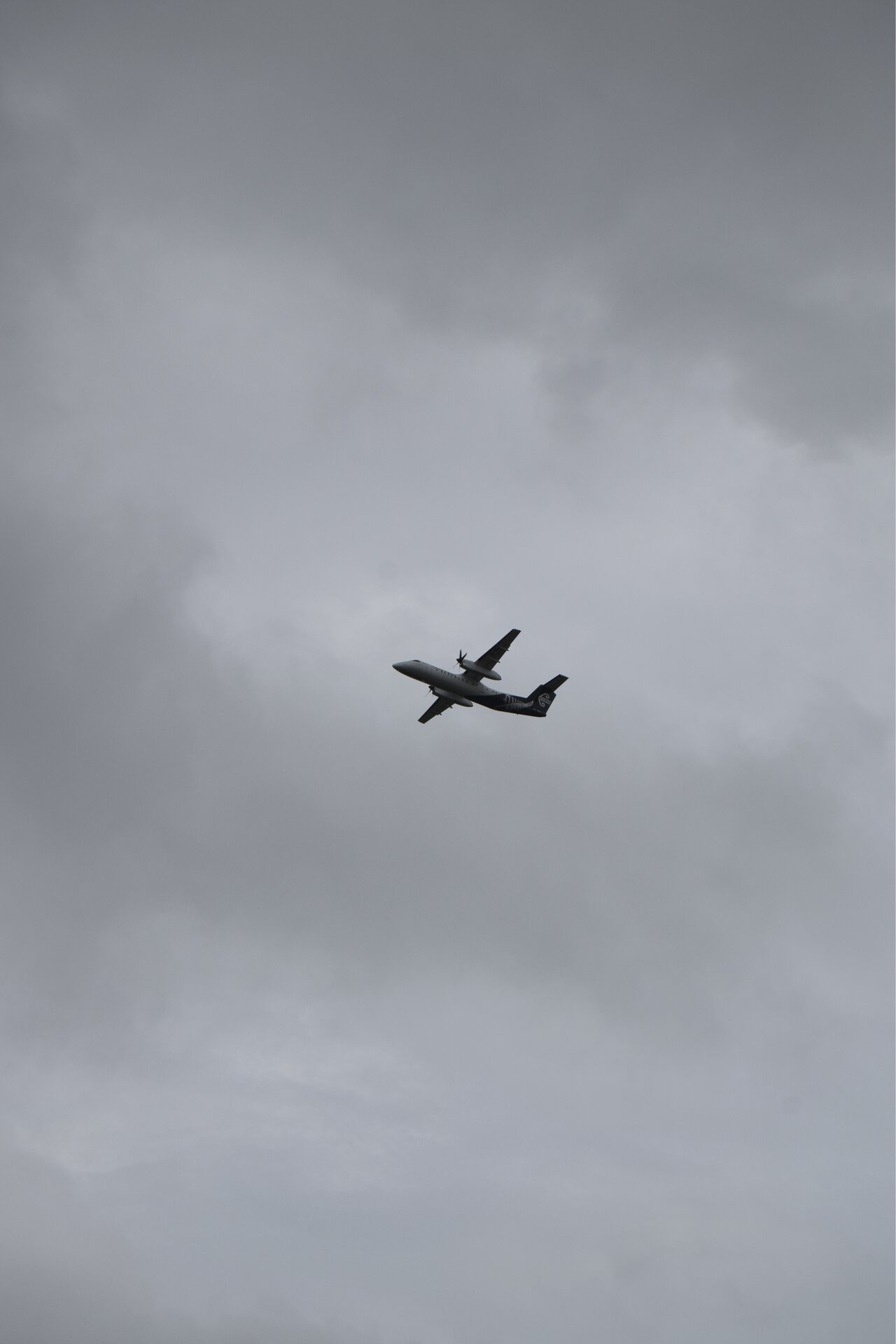 Spotting