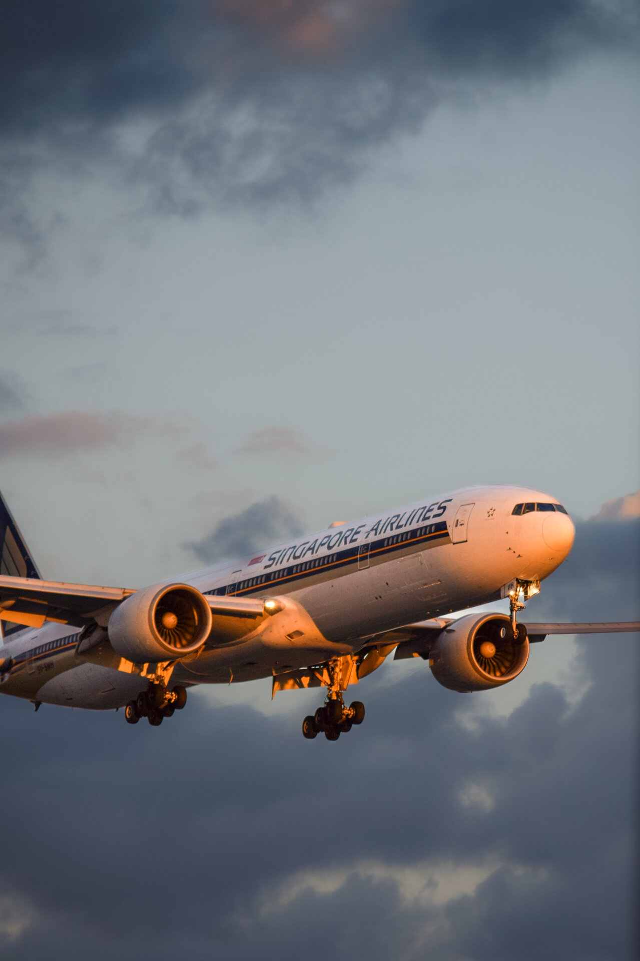 Spotting