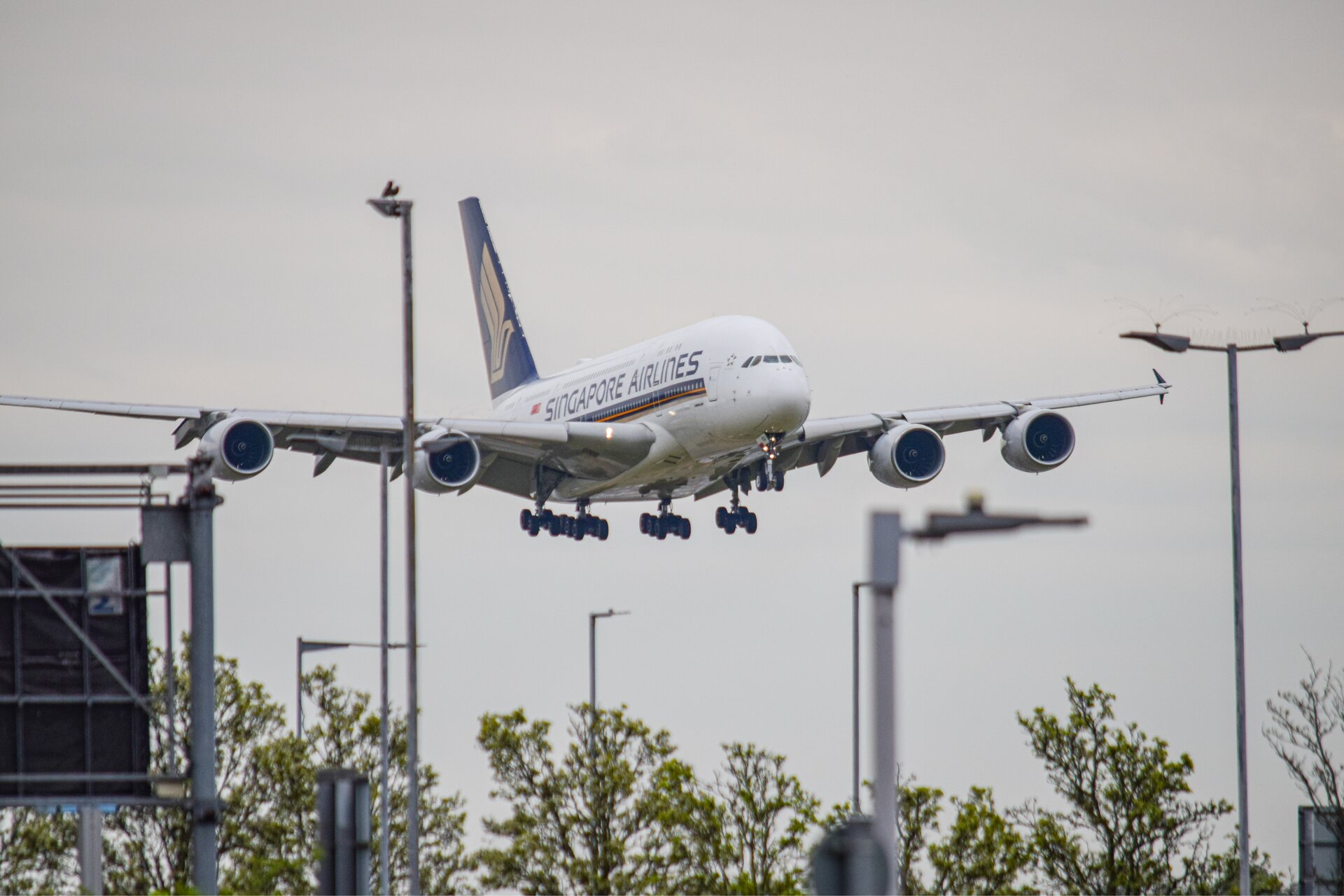 Spotting