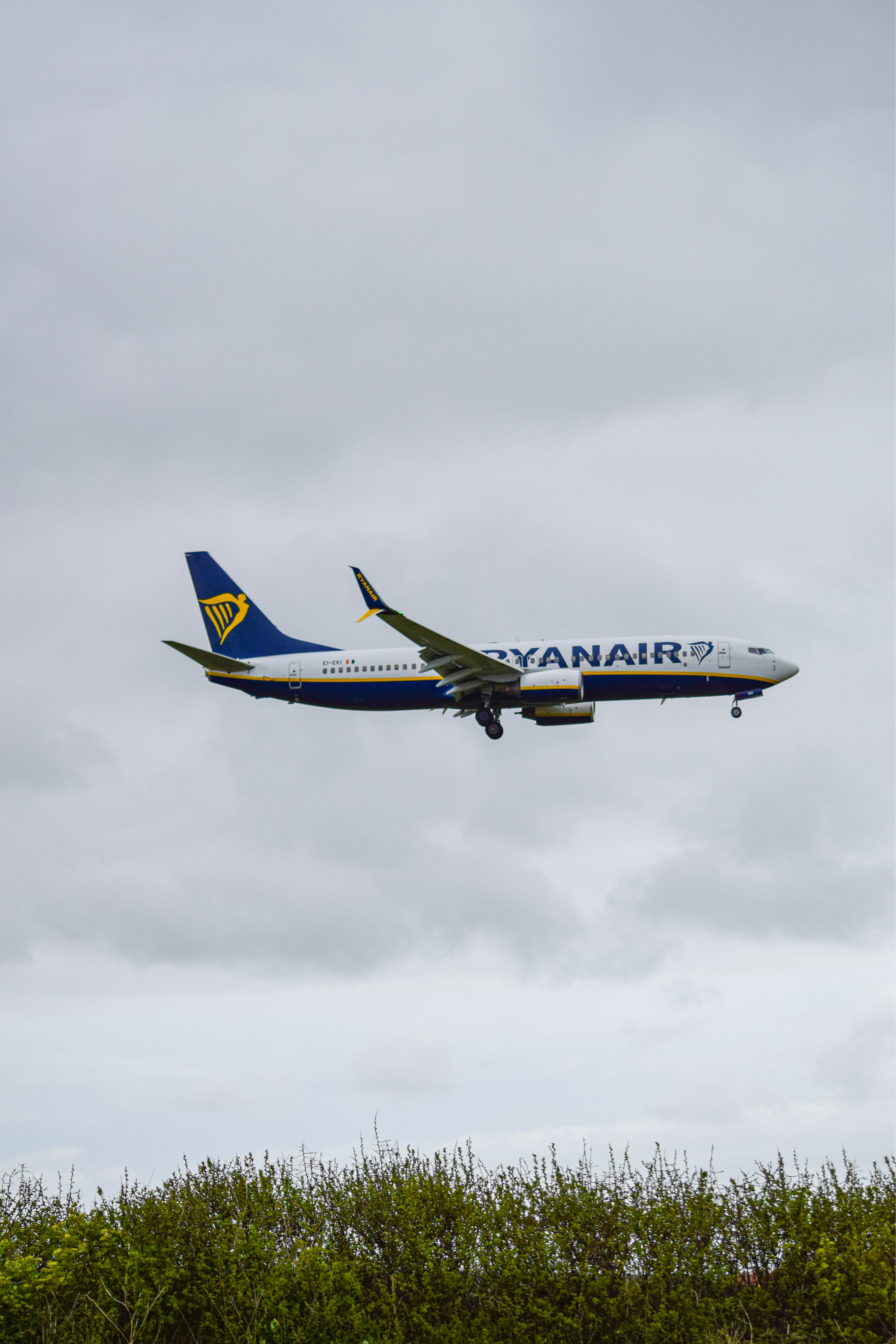 Aircraft