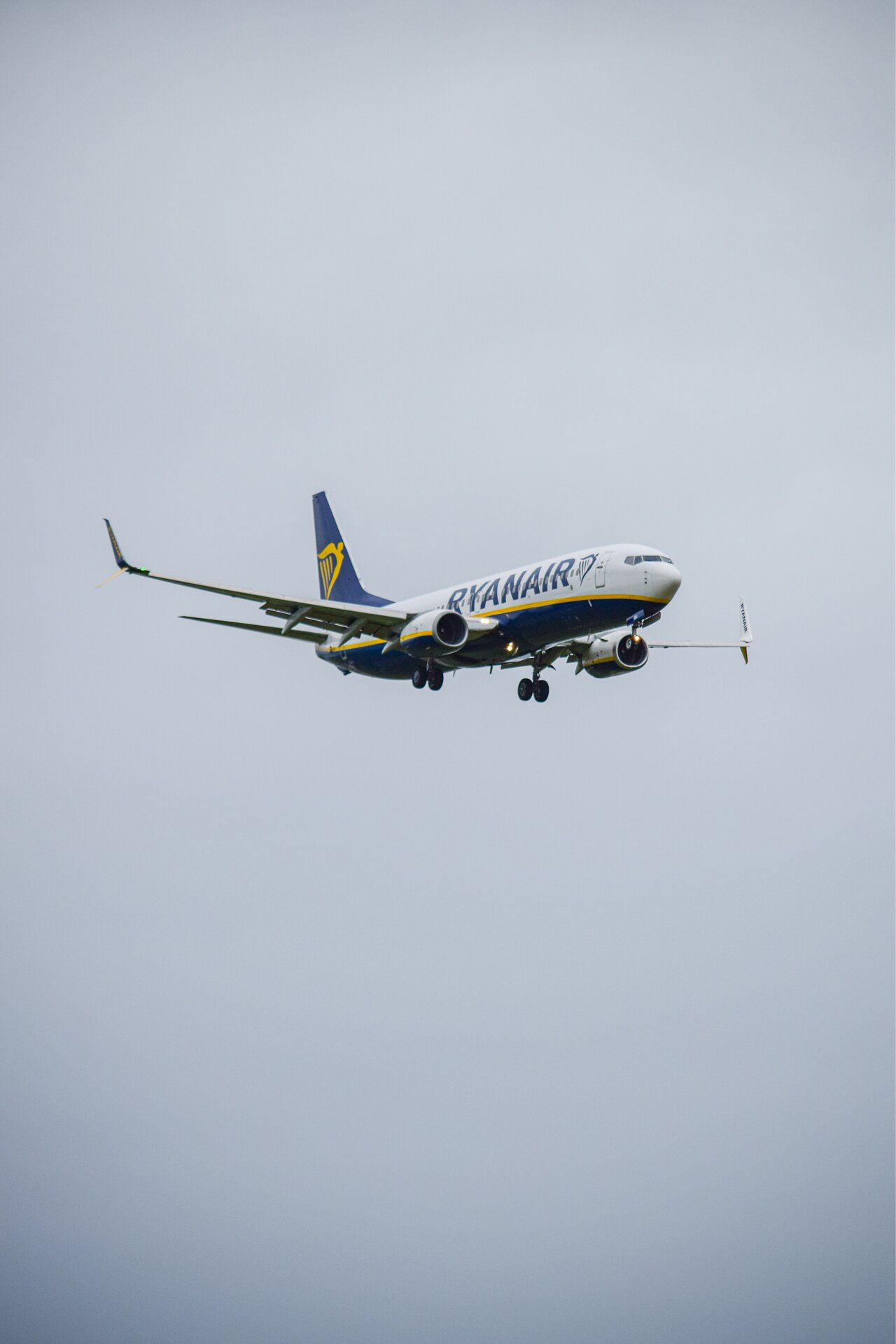 Spotting