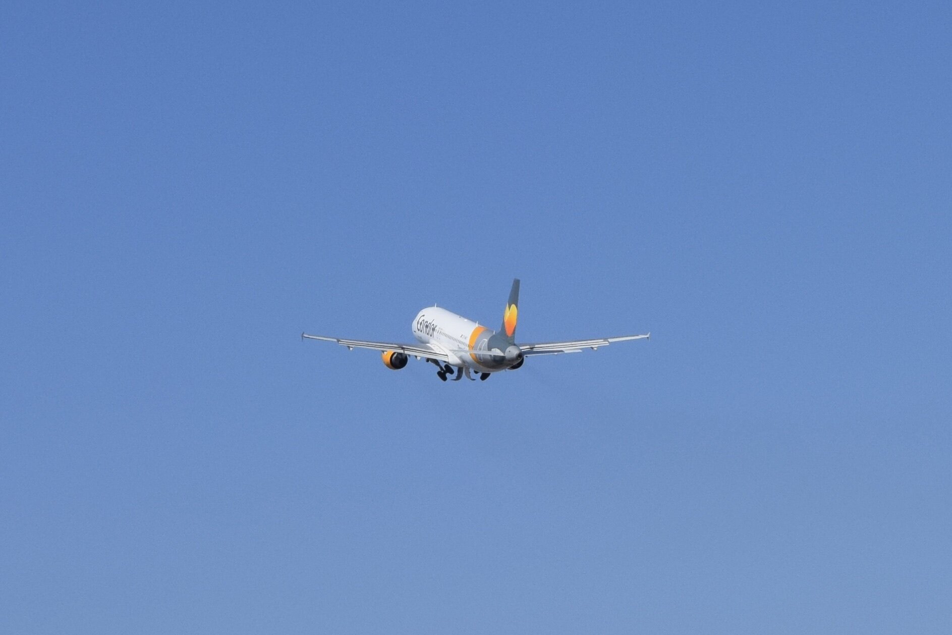Spotting