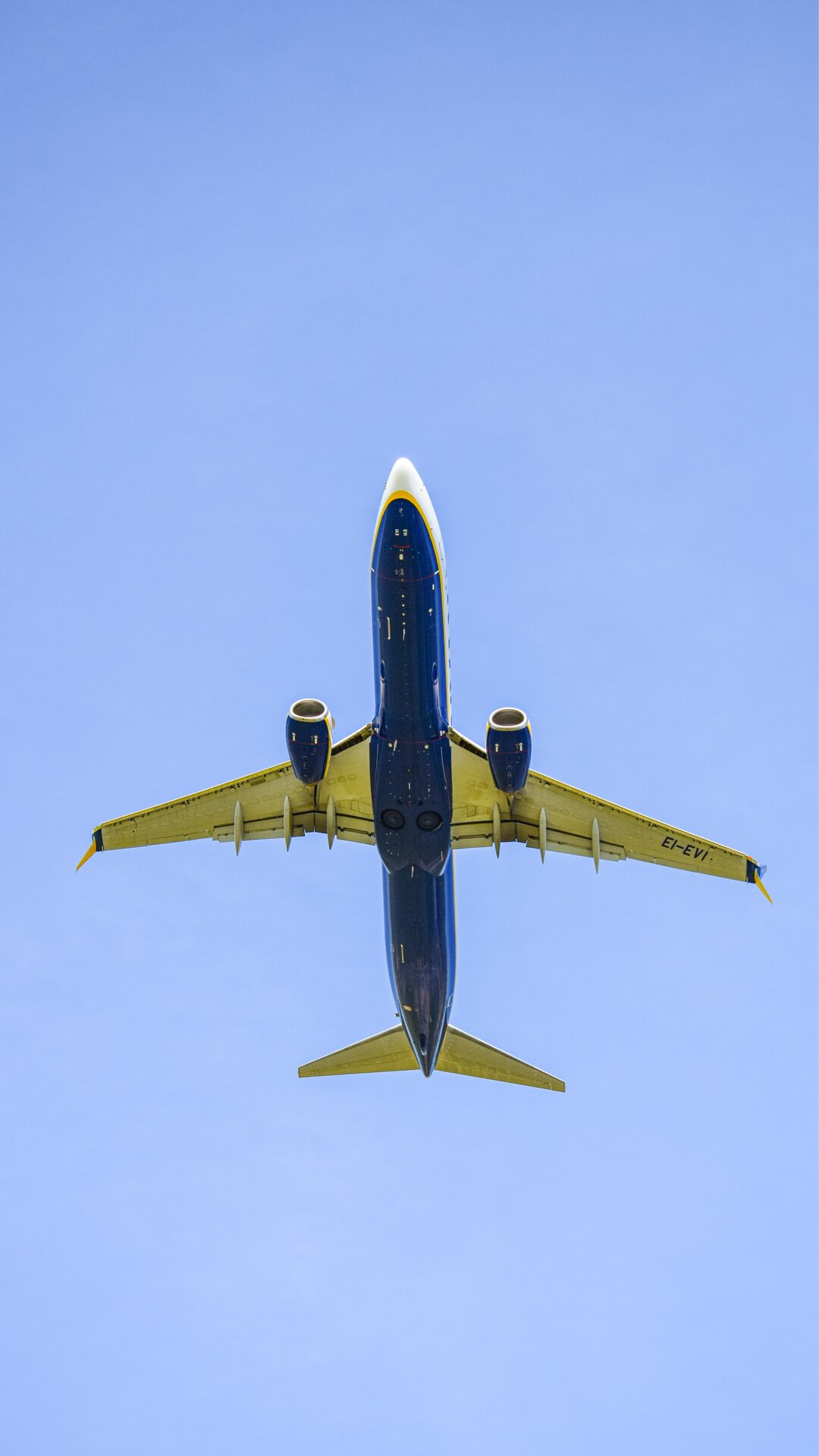 Spotting