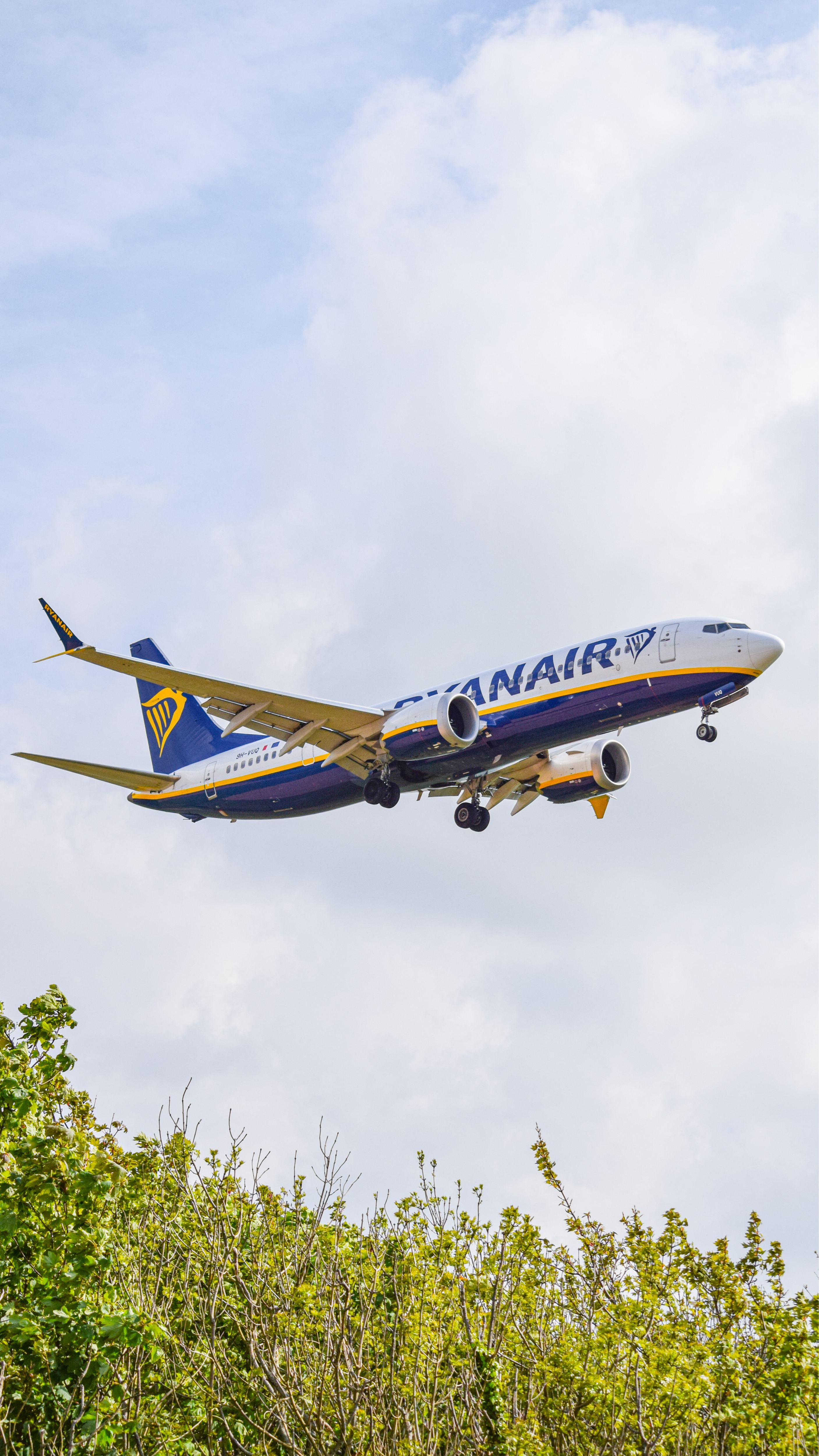 Aircraft