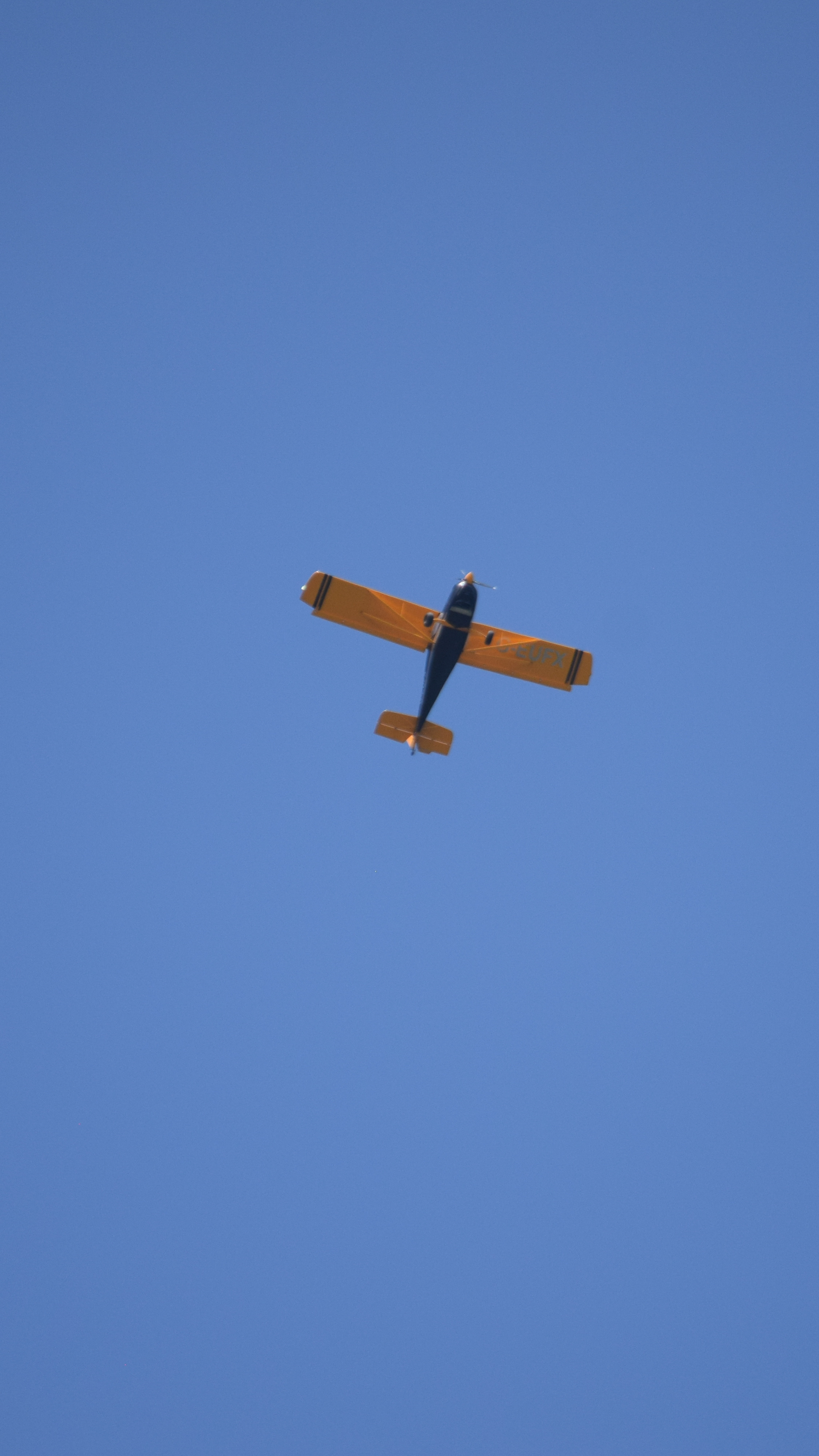 Spotting
