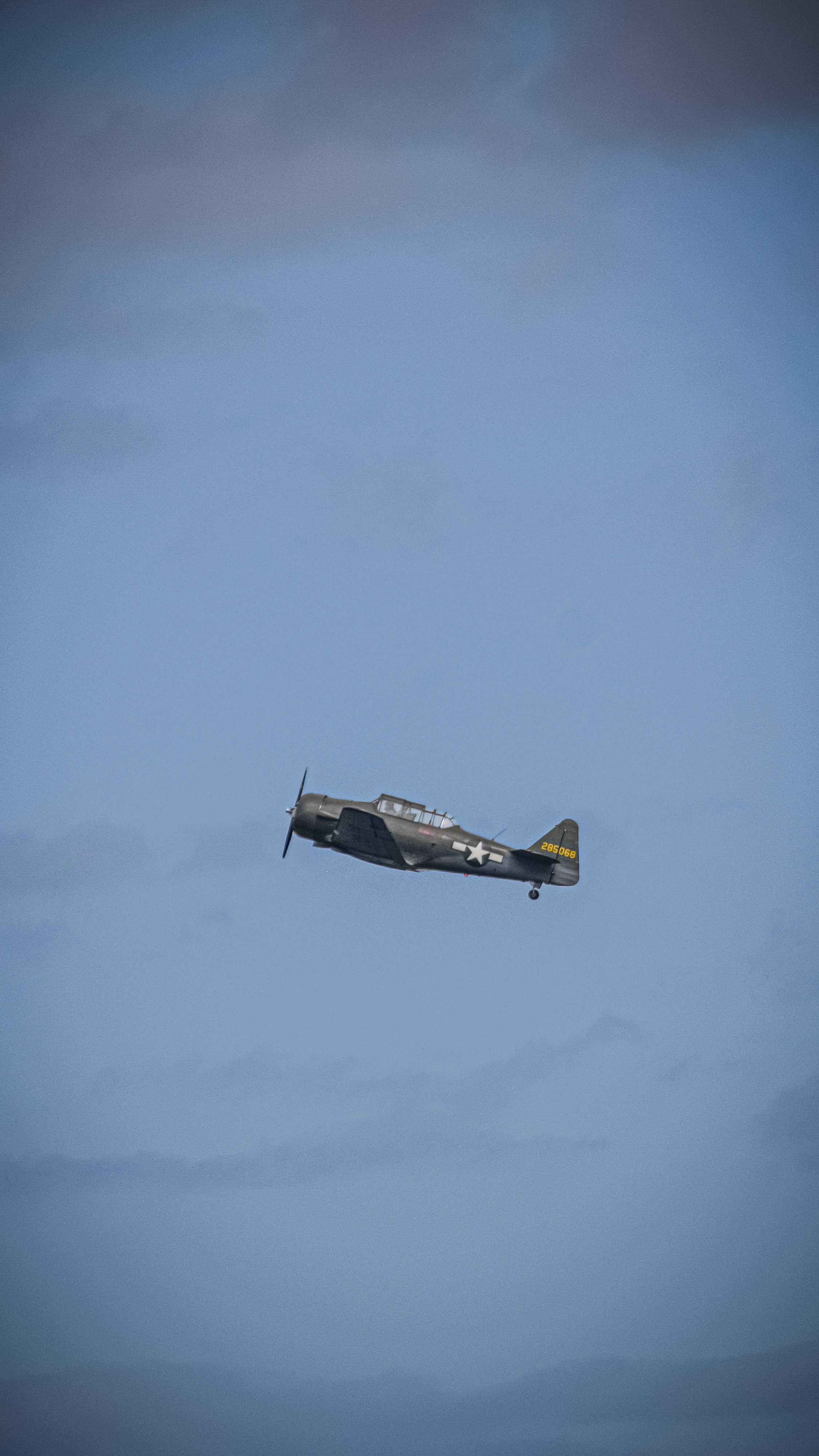 Spotting