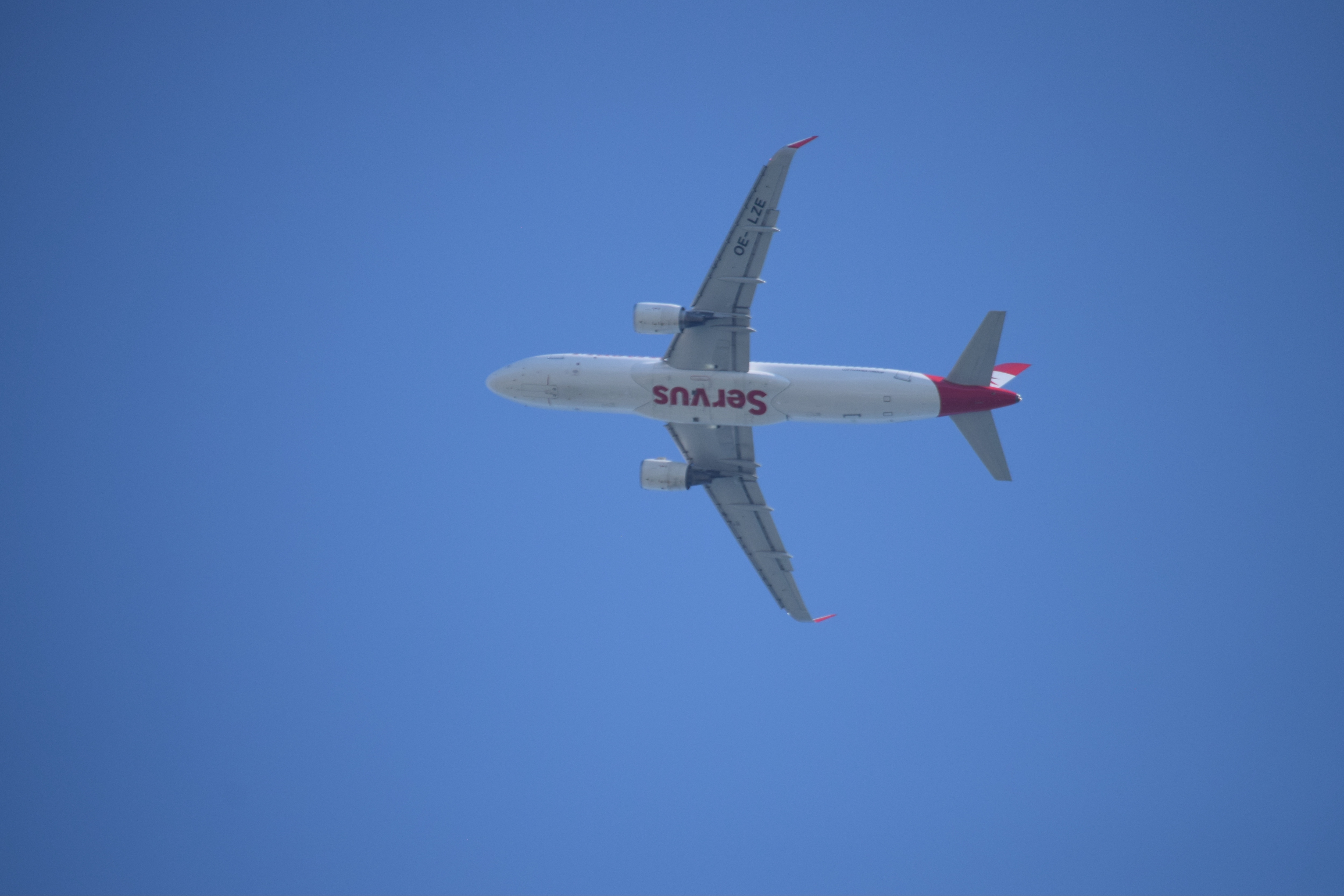 Spotting