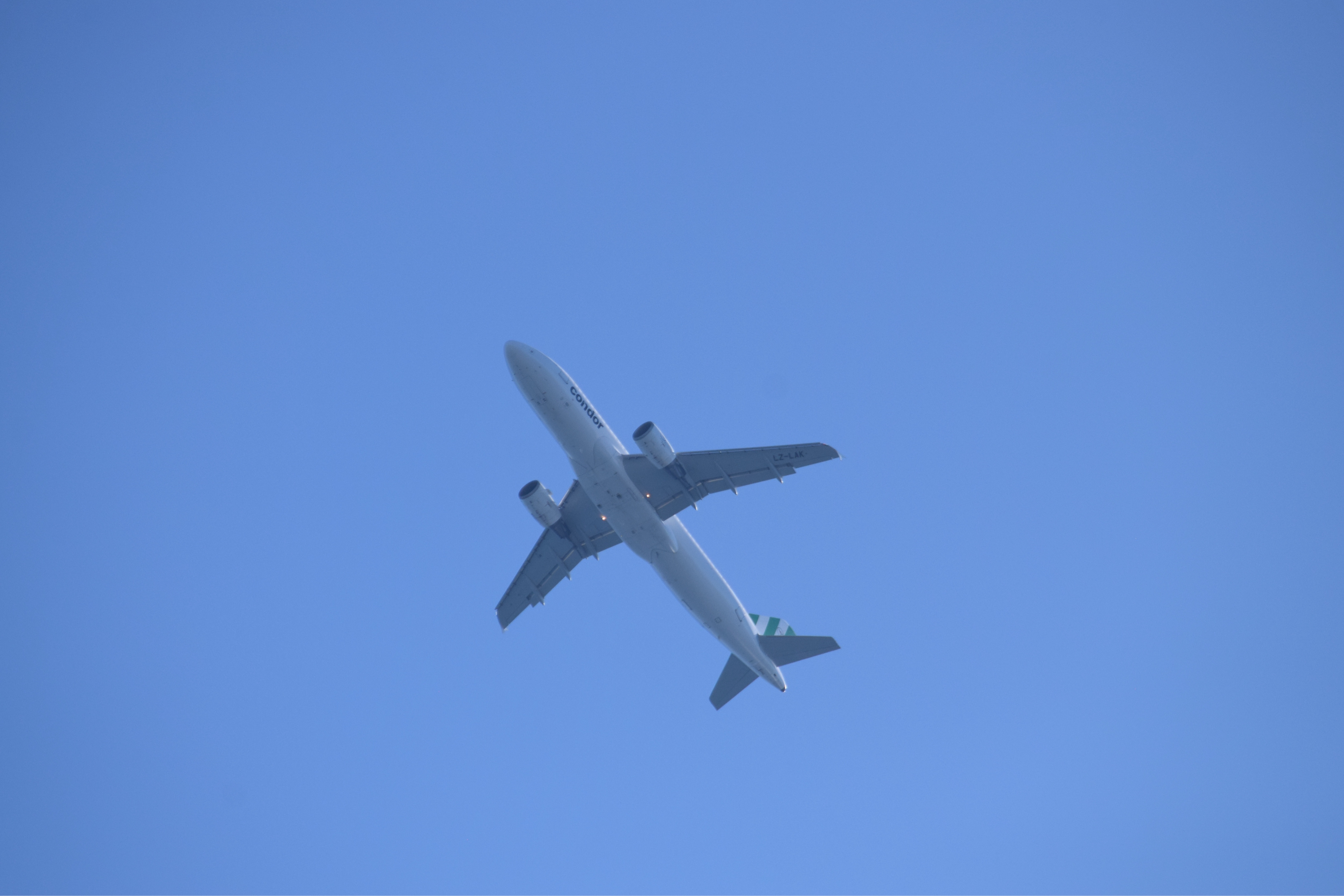Spotting