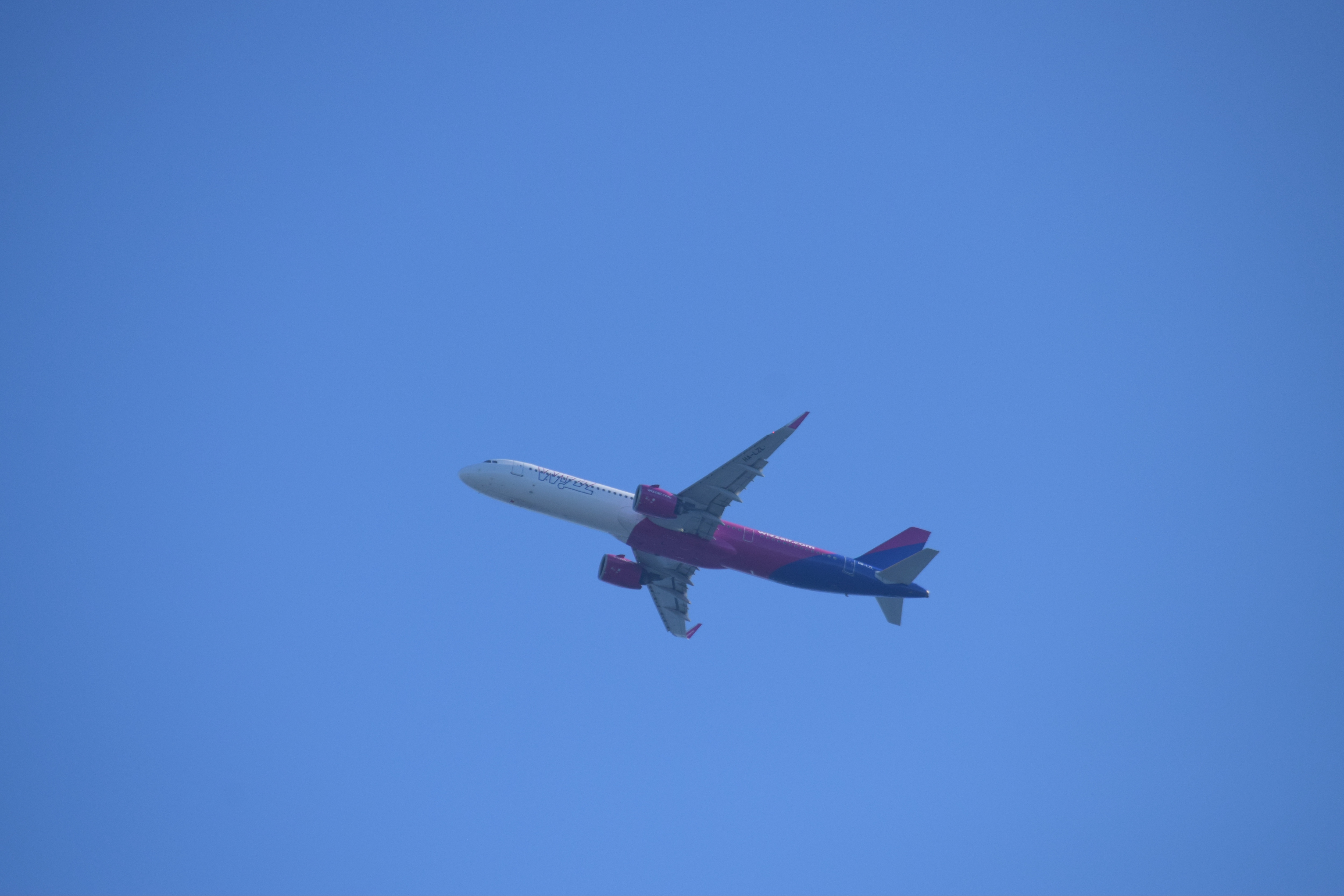 Spotting