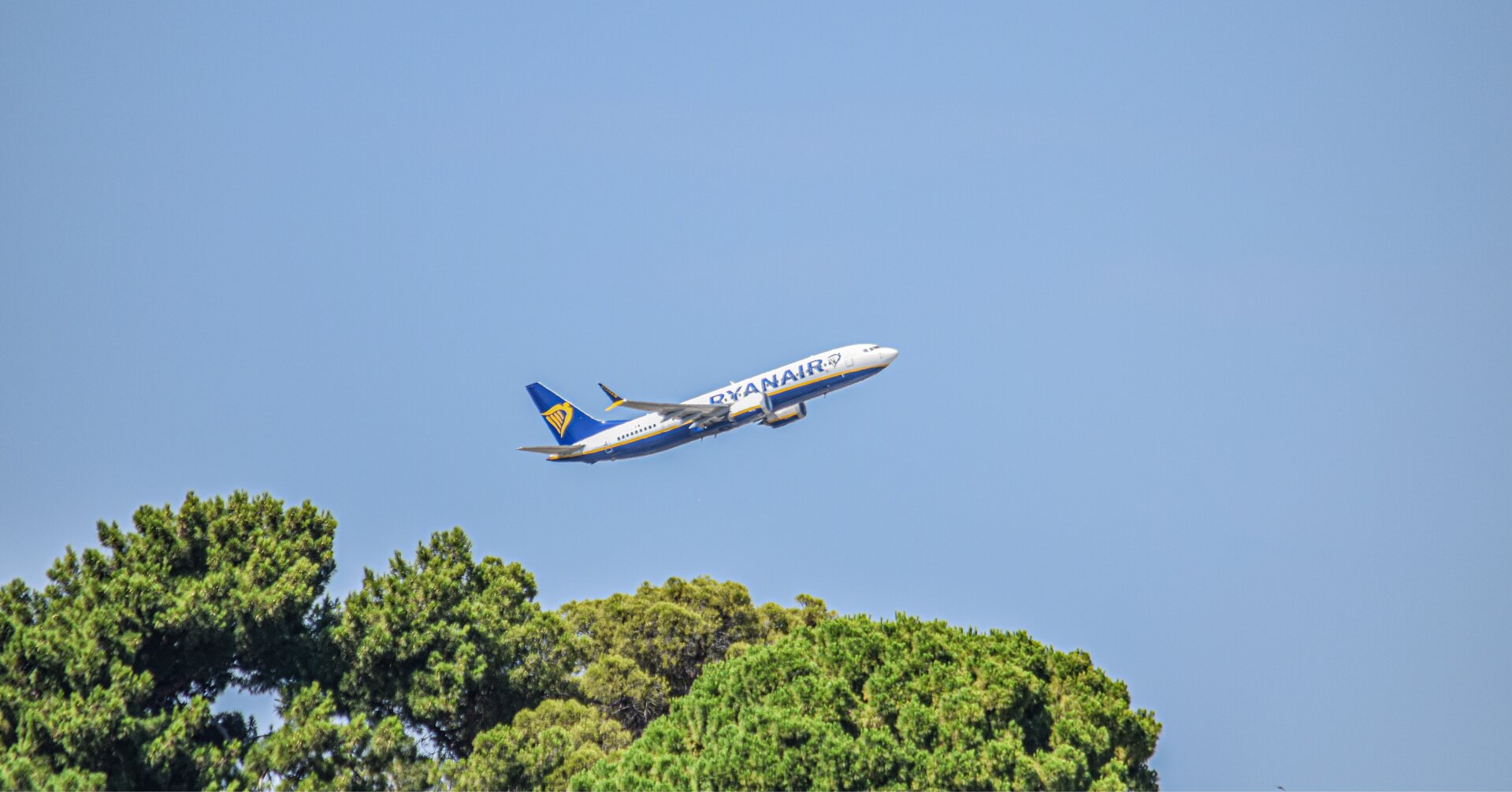 Boeing 737-800