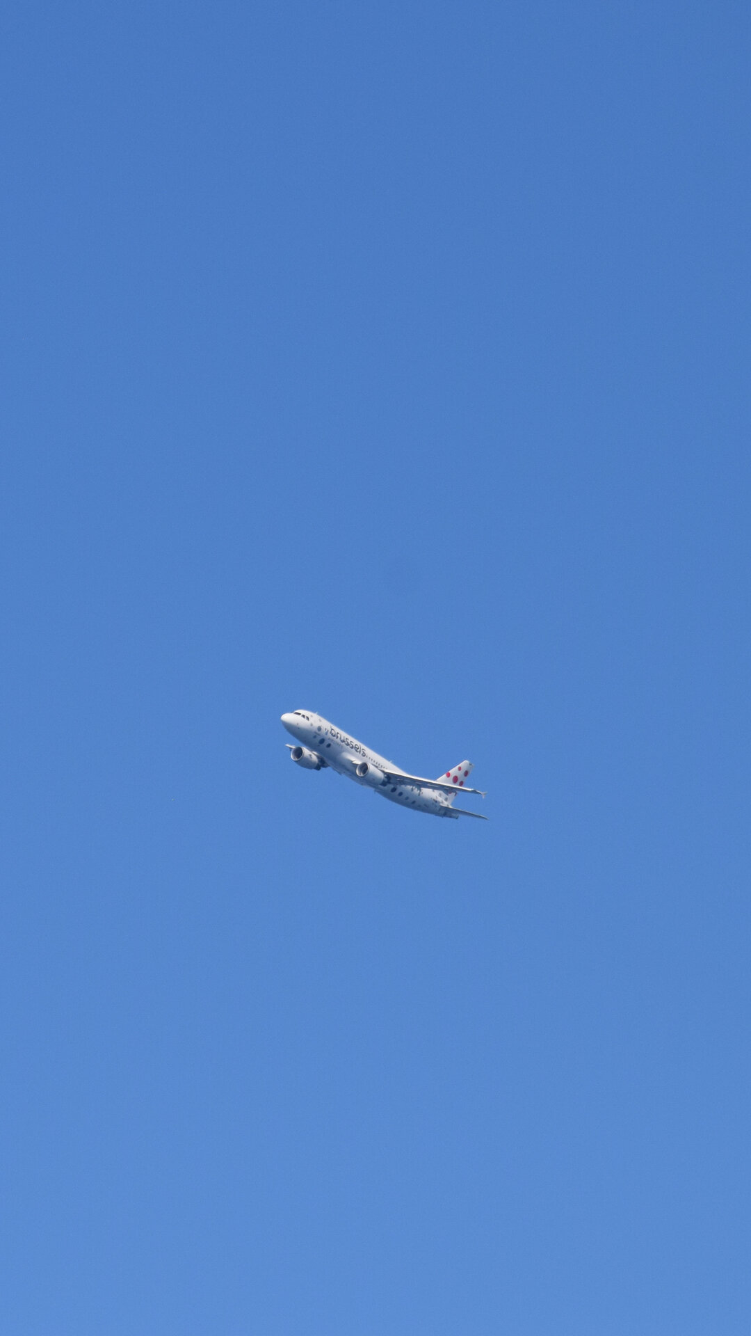 Airbus A319