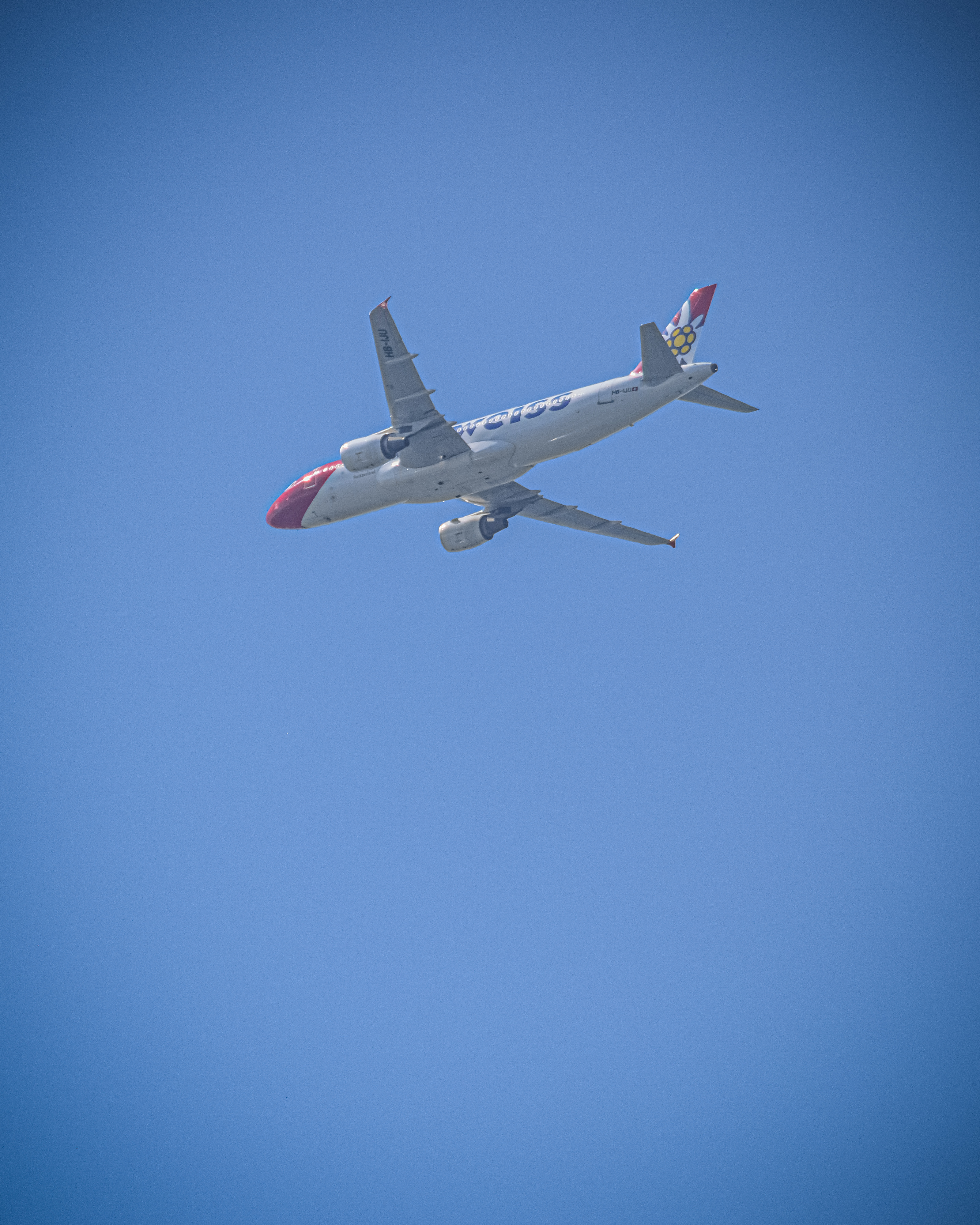 Spotting
