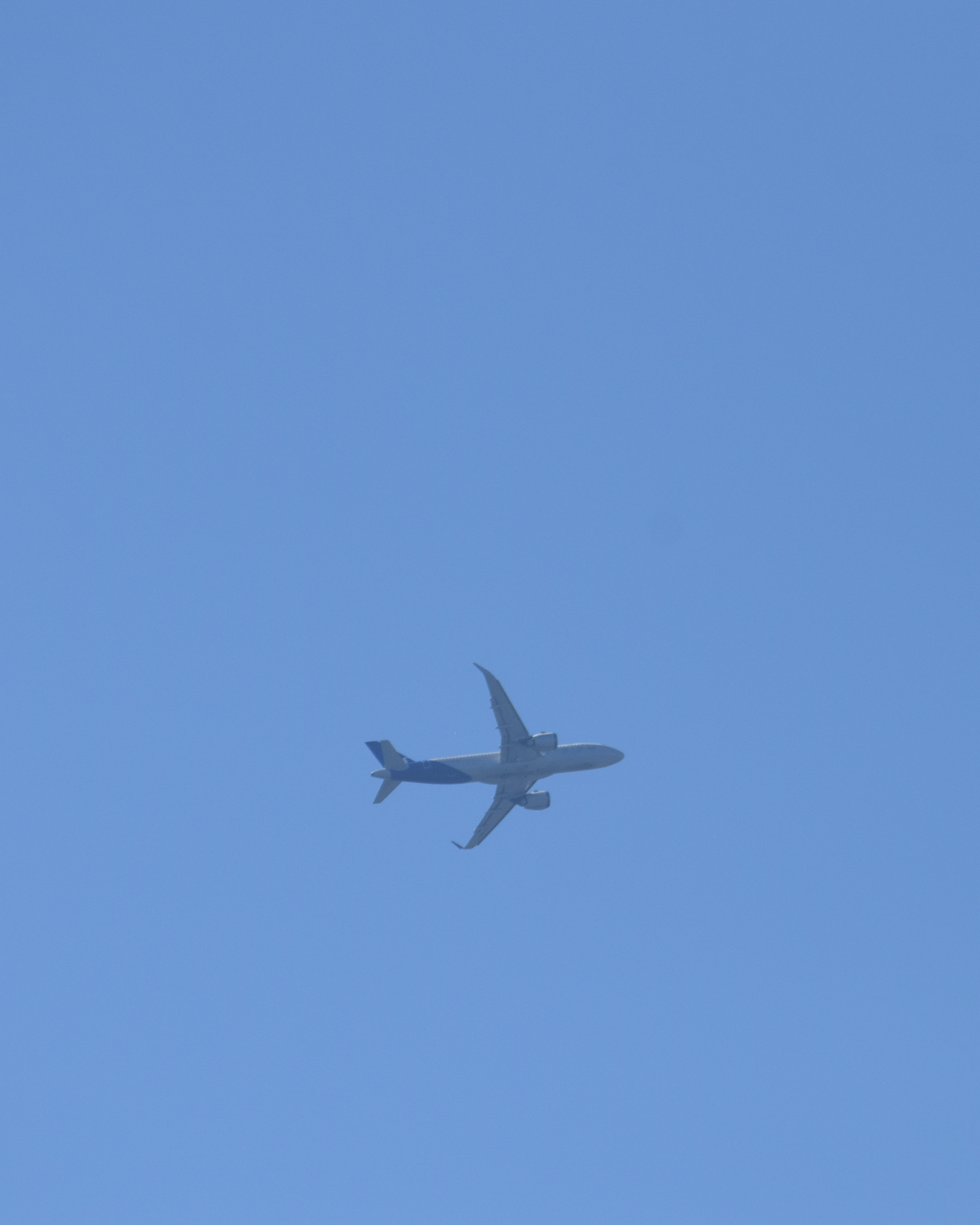 Spotting