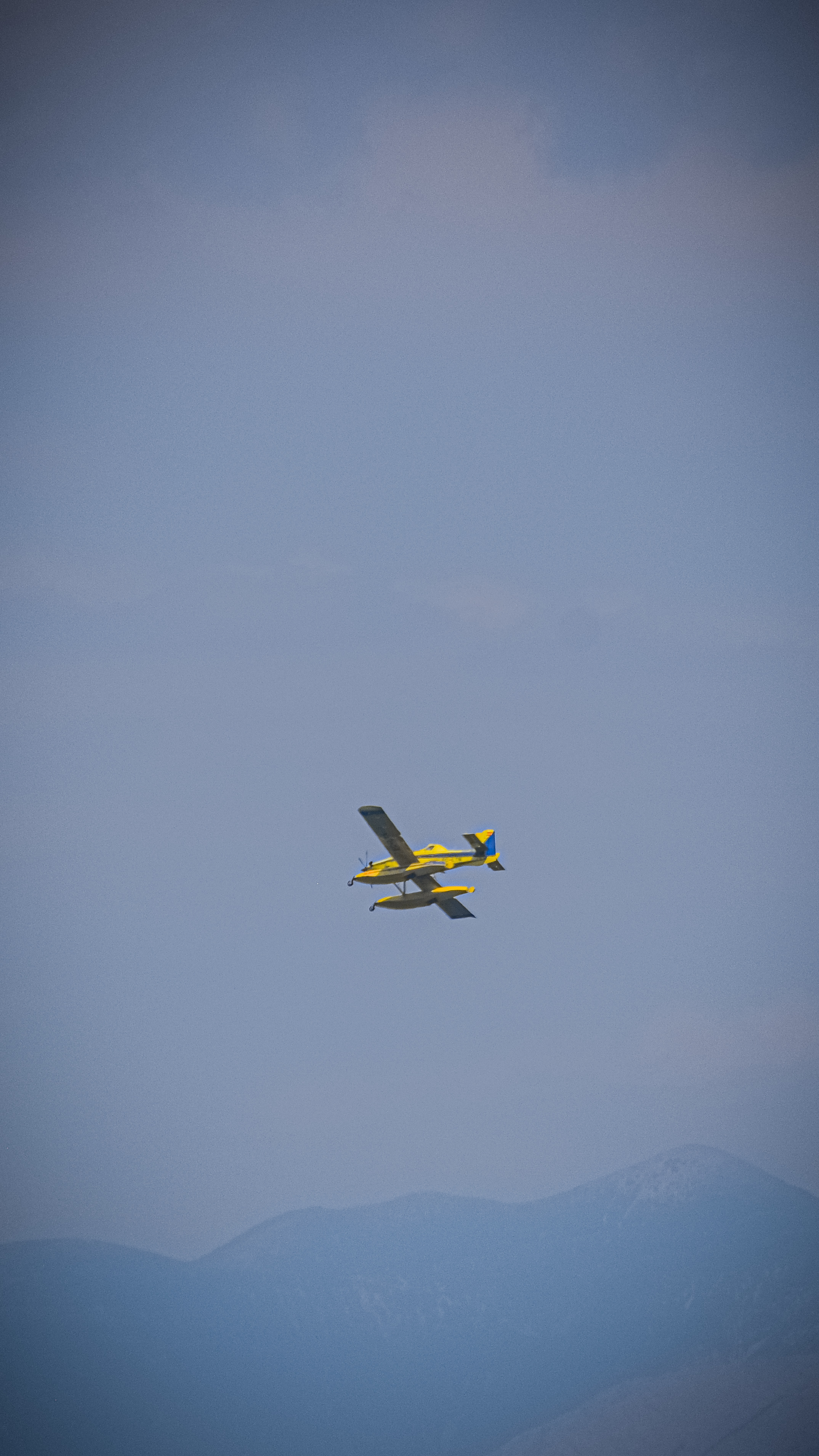 Spotting