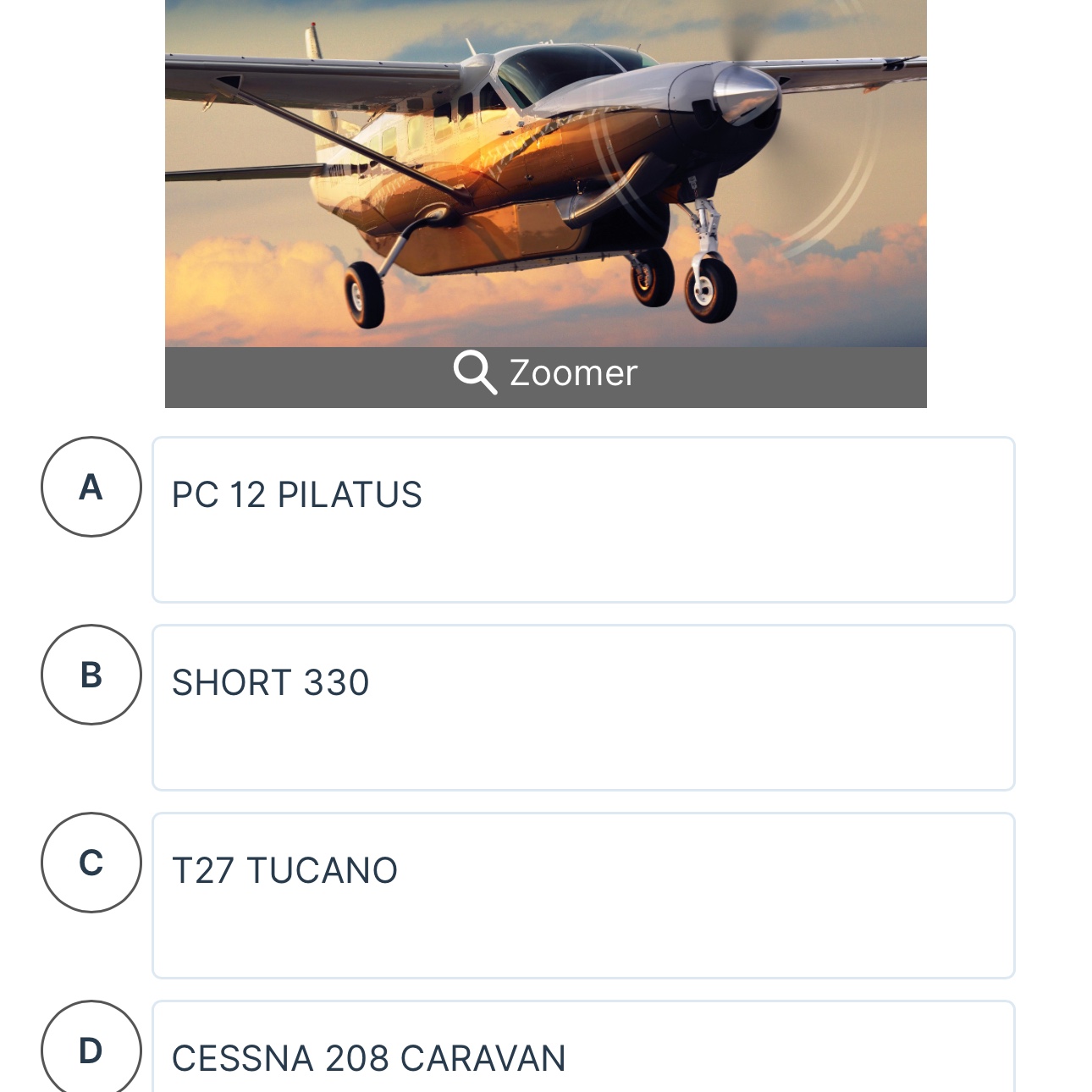 Cessna 208 Caravan