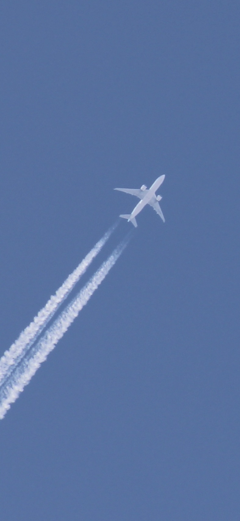 Spotting