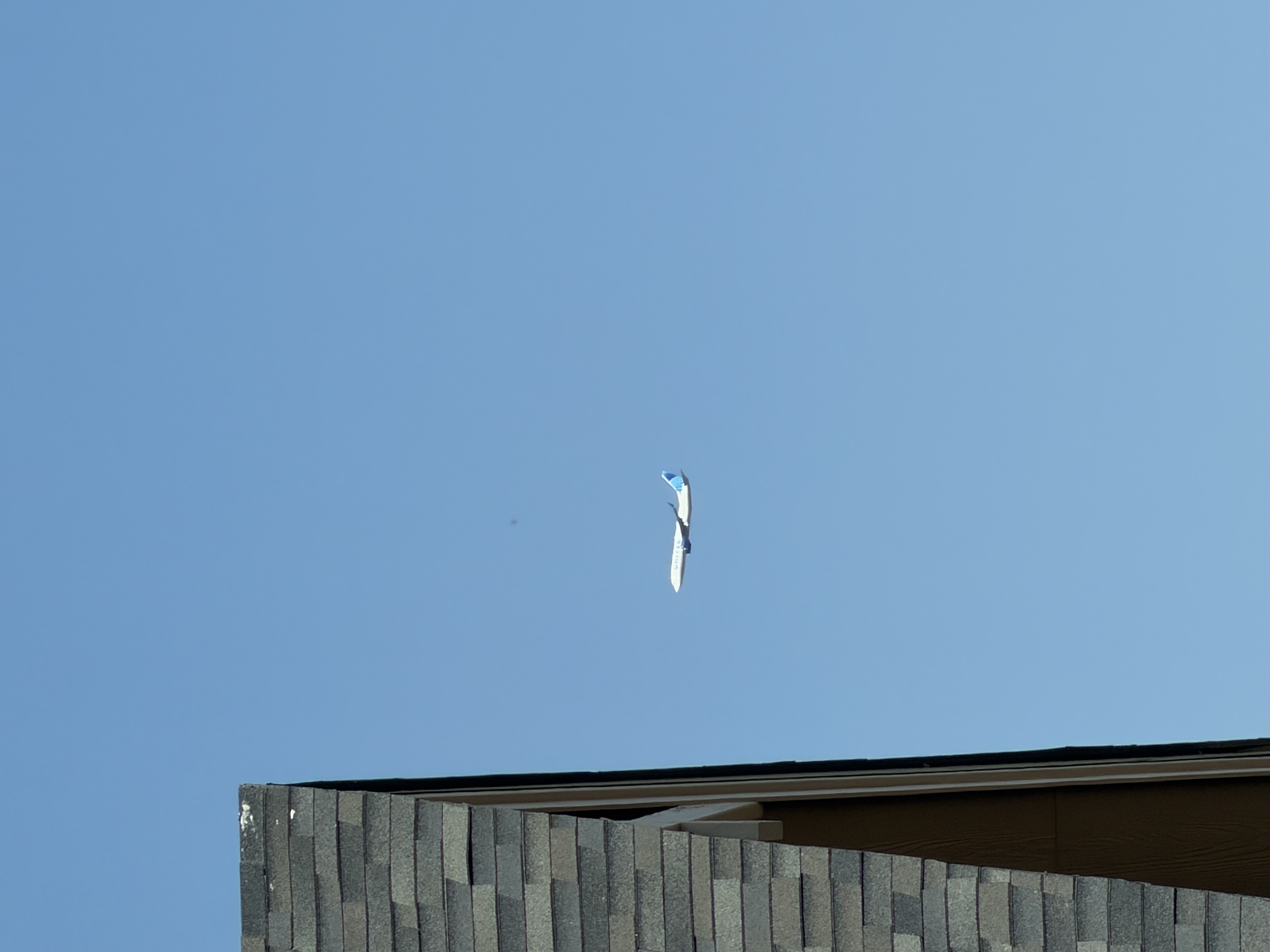 Spotting