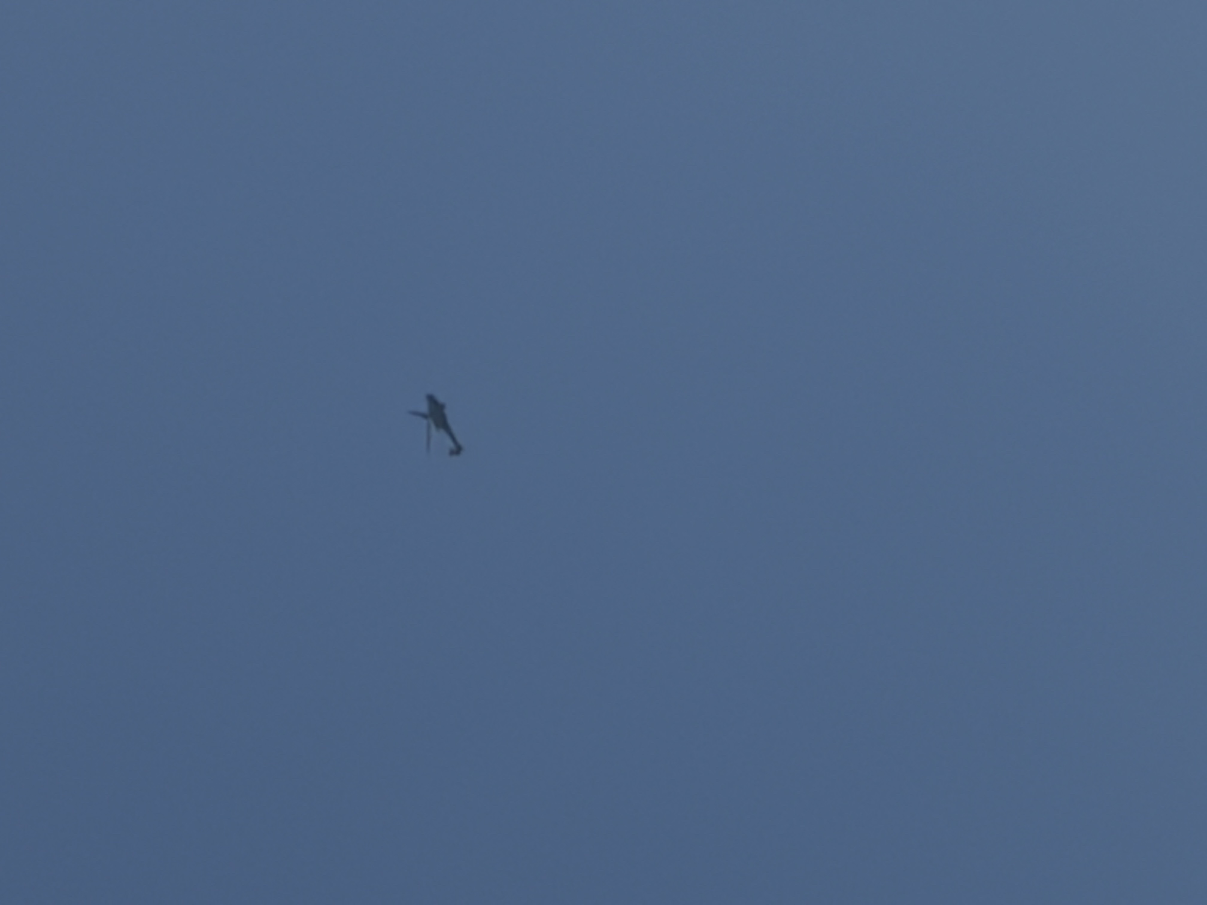 Spotting