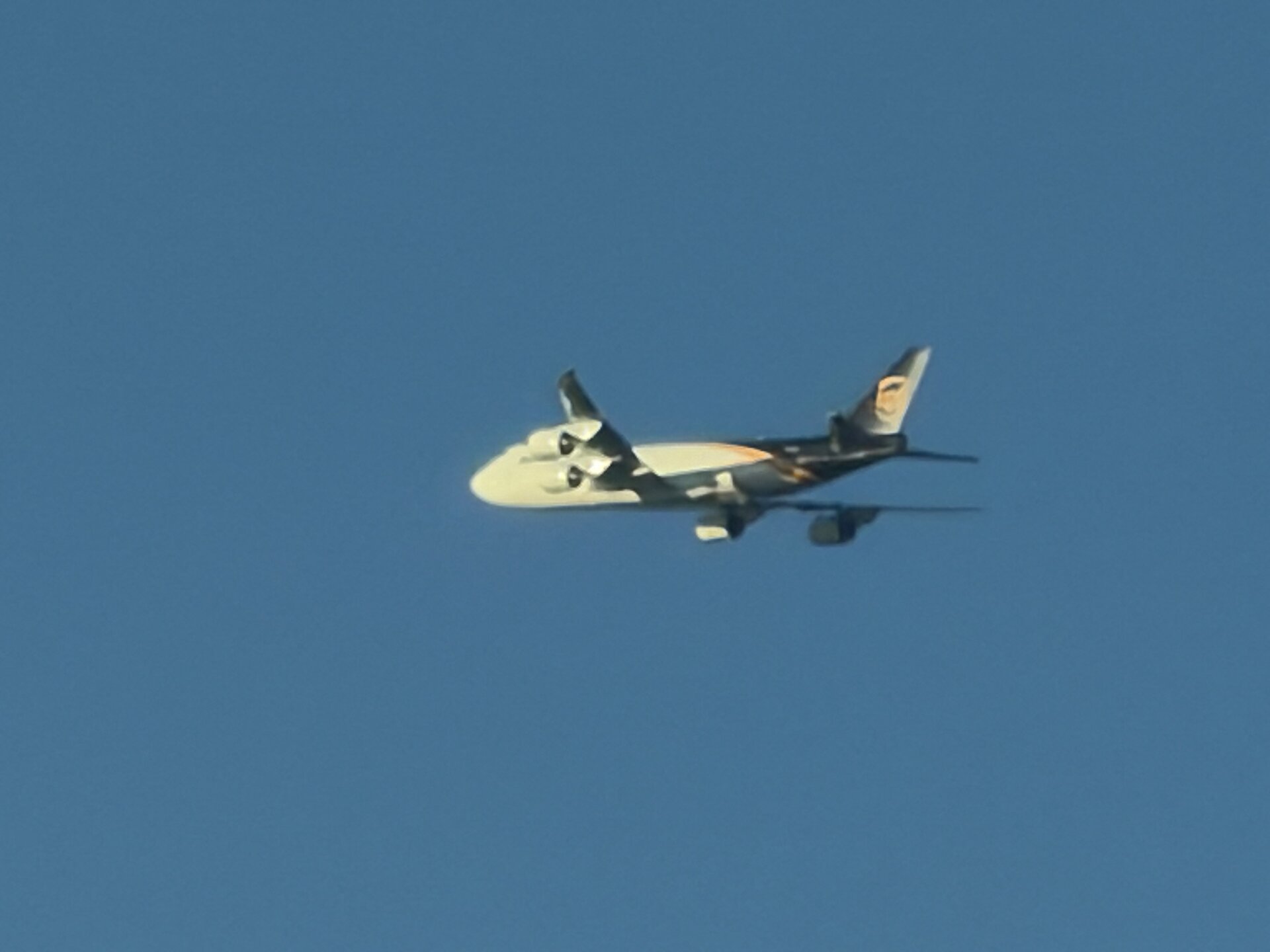 Spotting