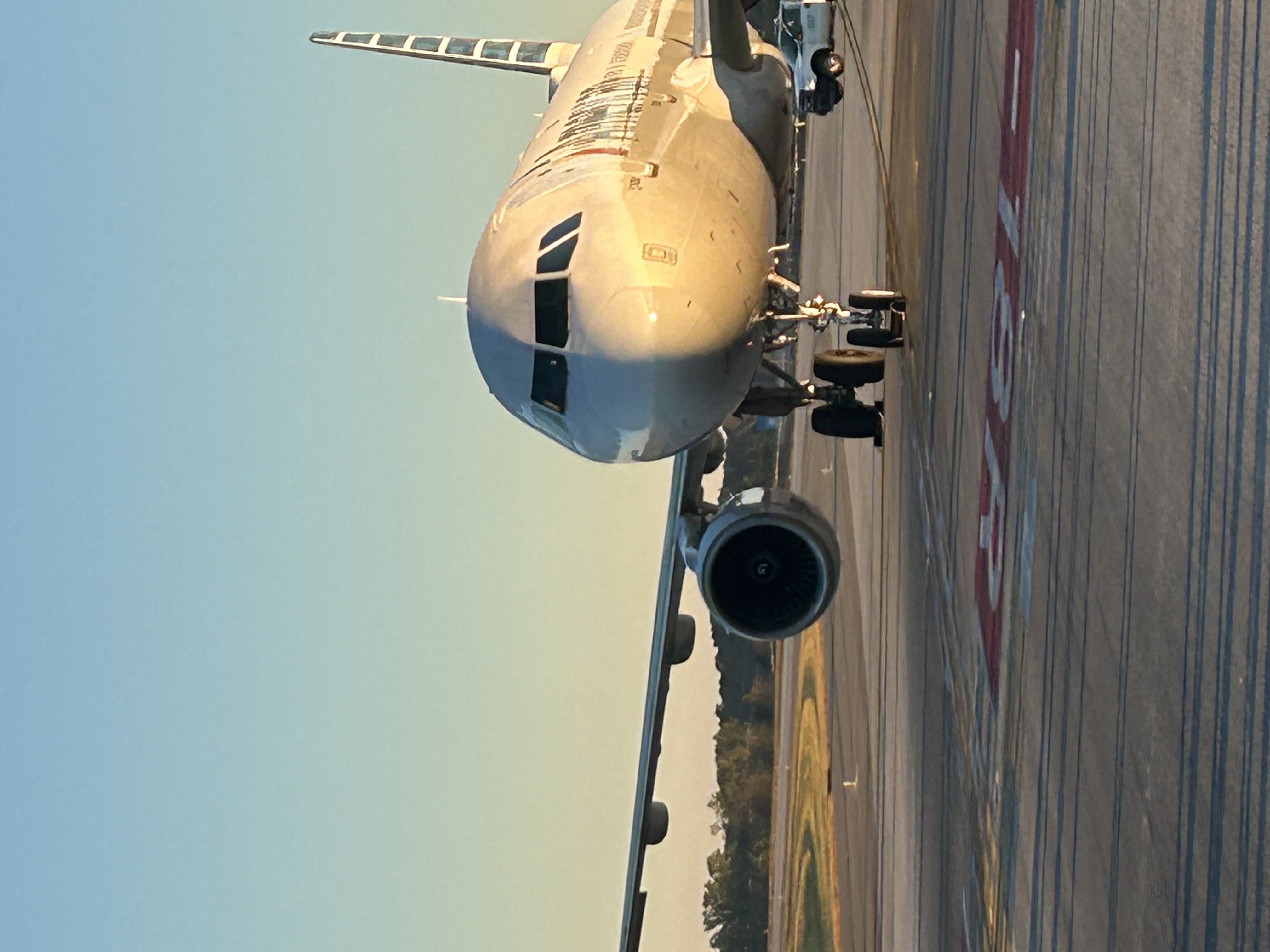 Spotting