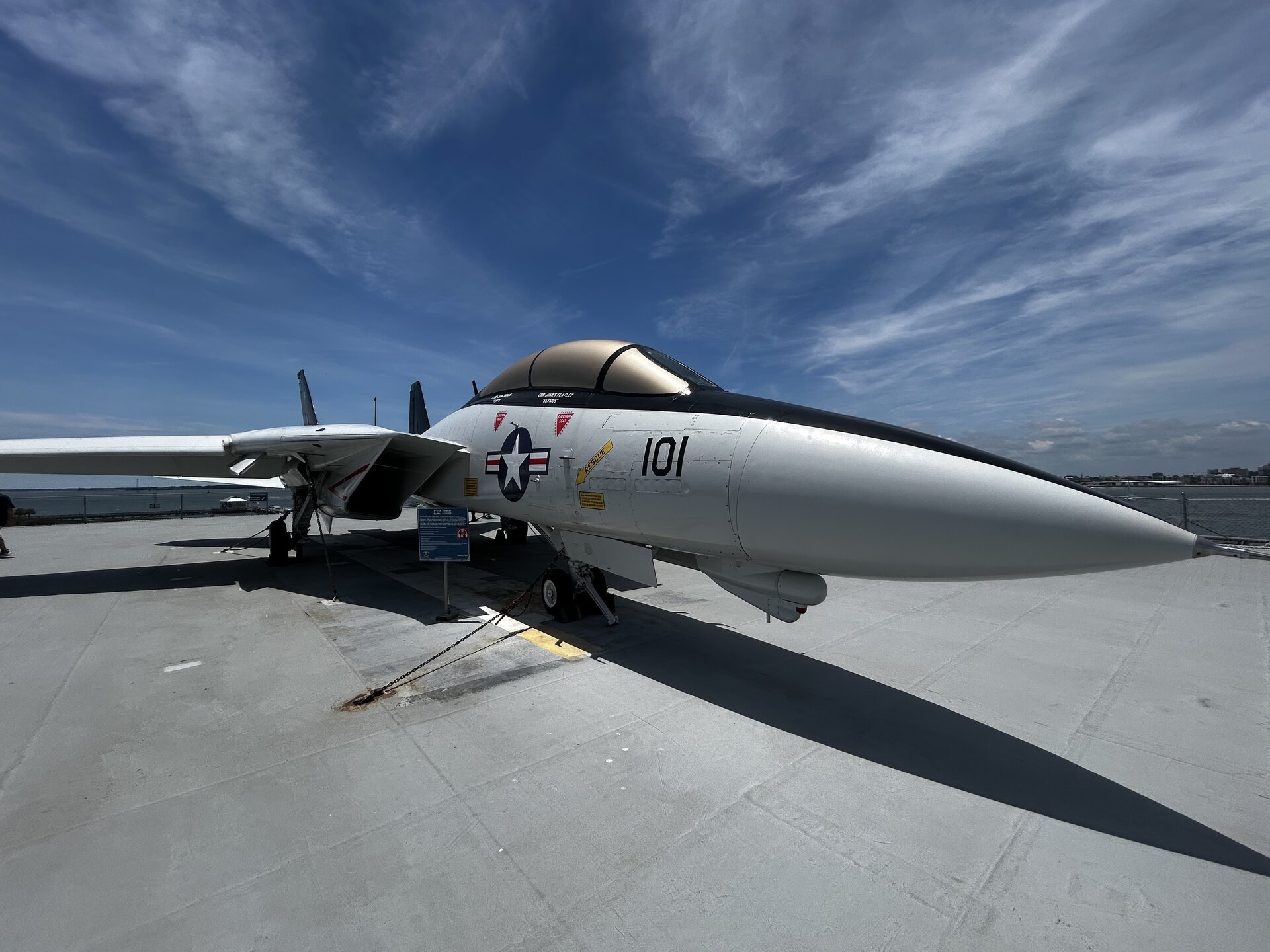 Grumman F-14 Tomcat