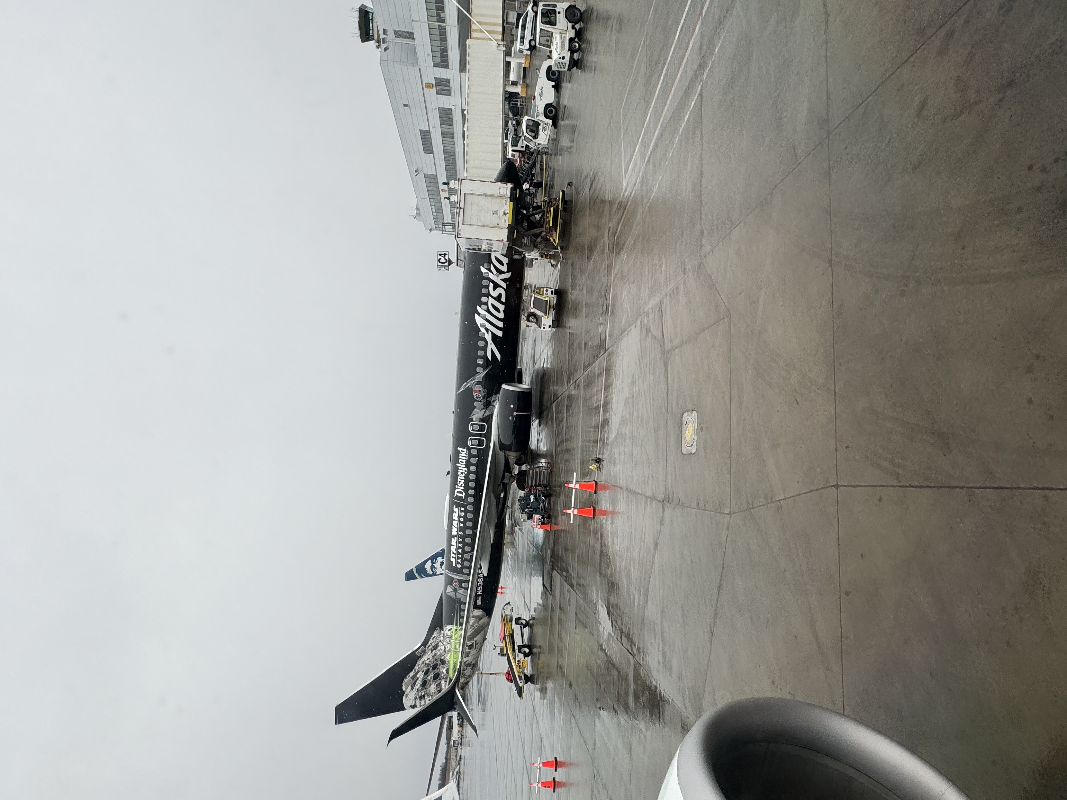 Spotting