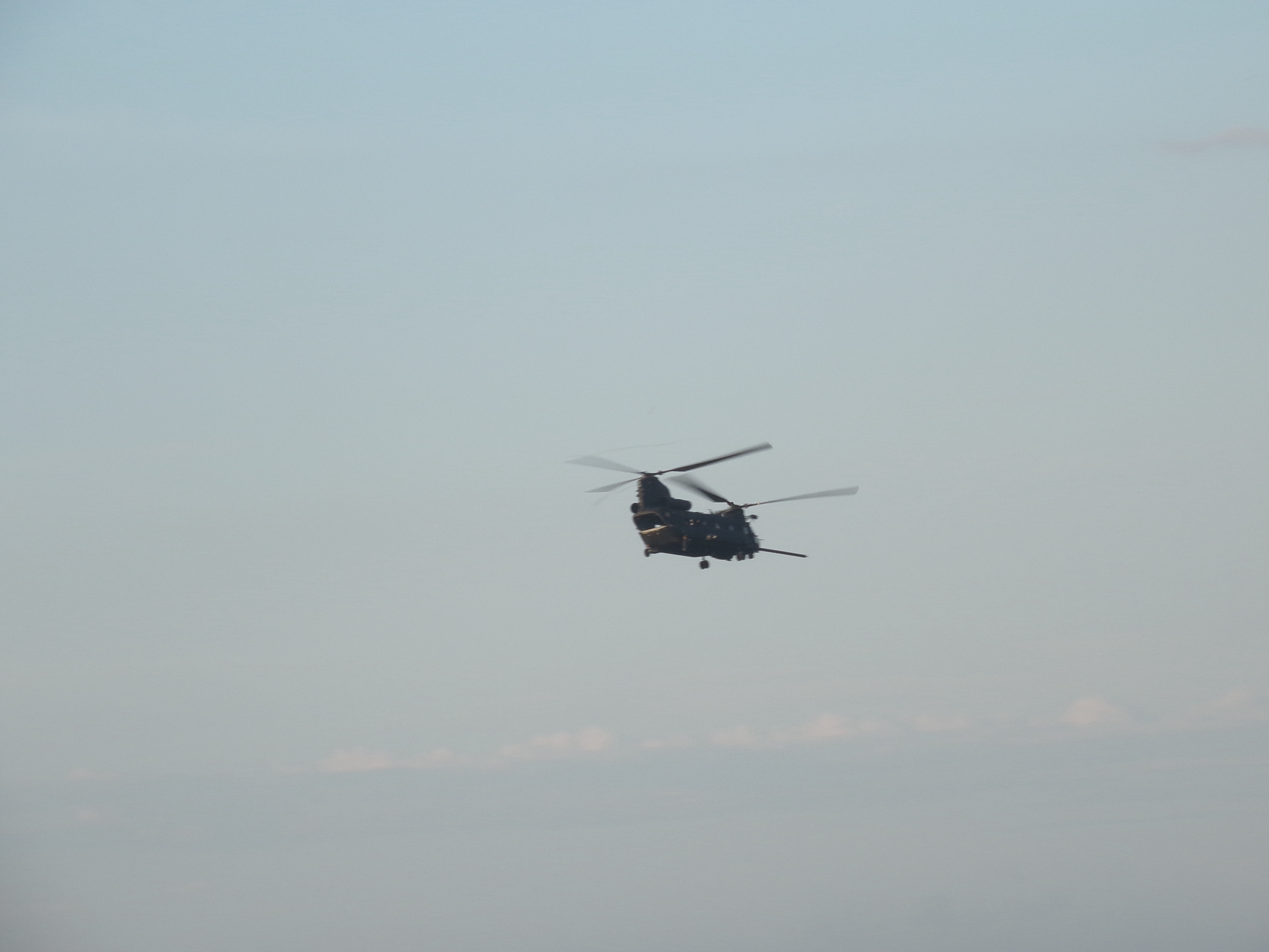 Spotting