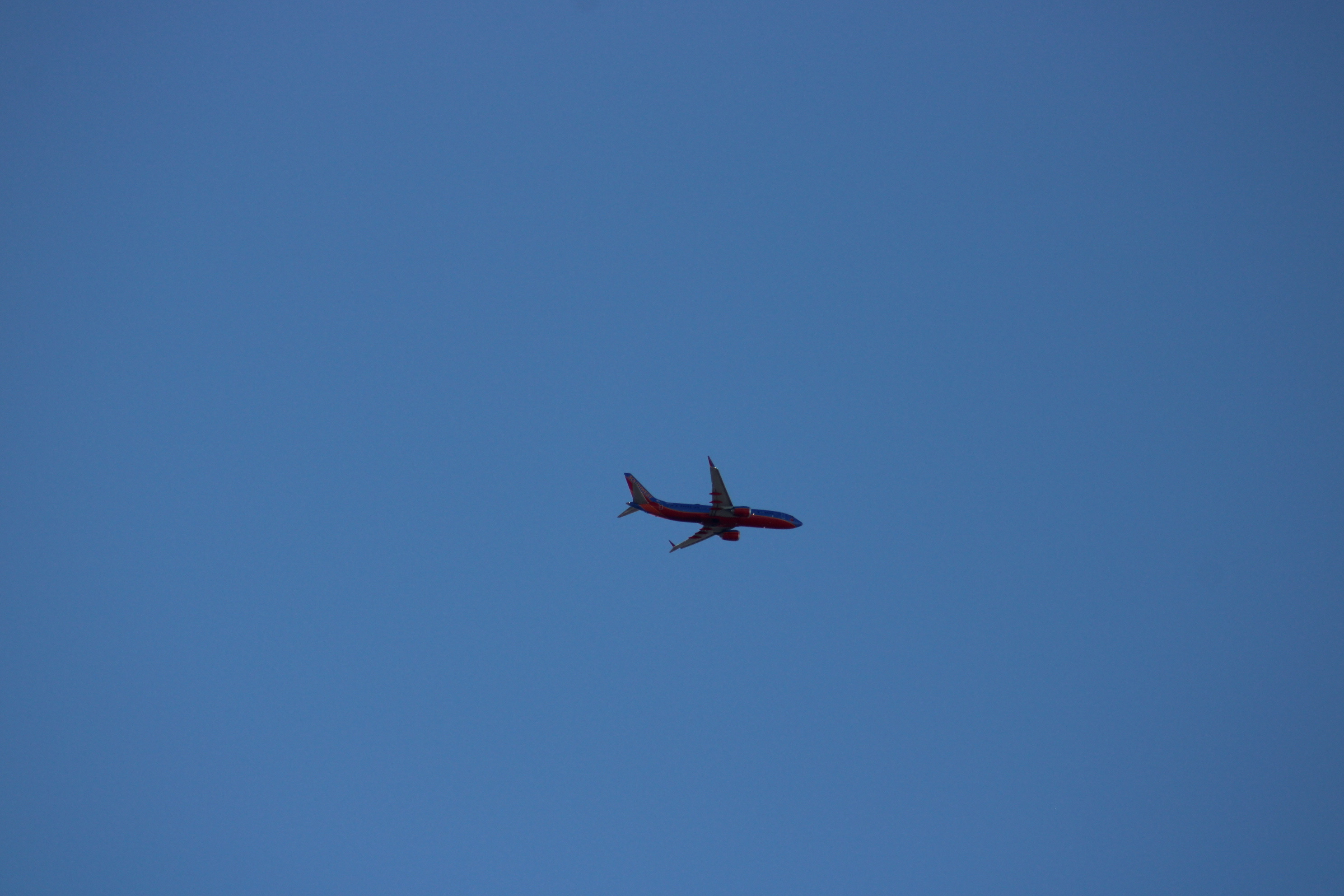 Spotting