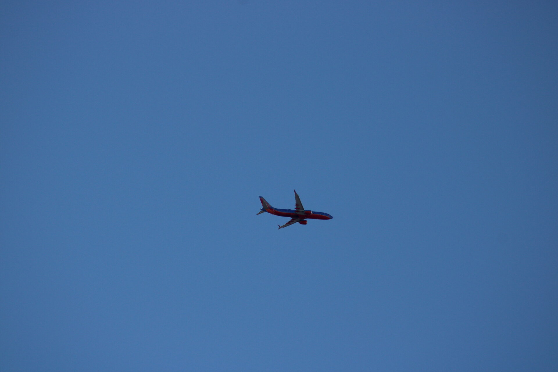 Boeing 737 (likely 737-700/800 variant)
