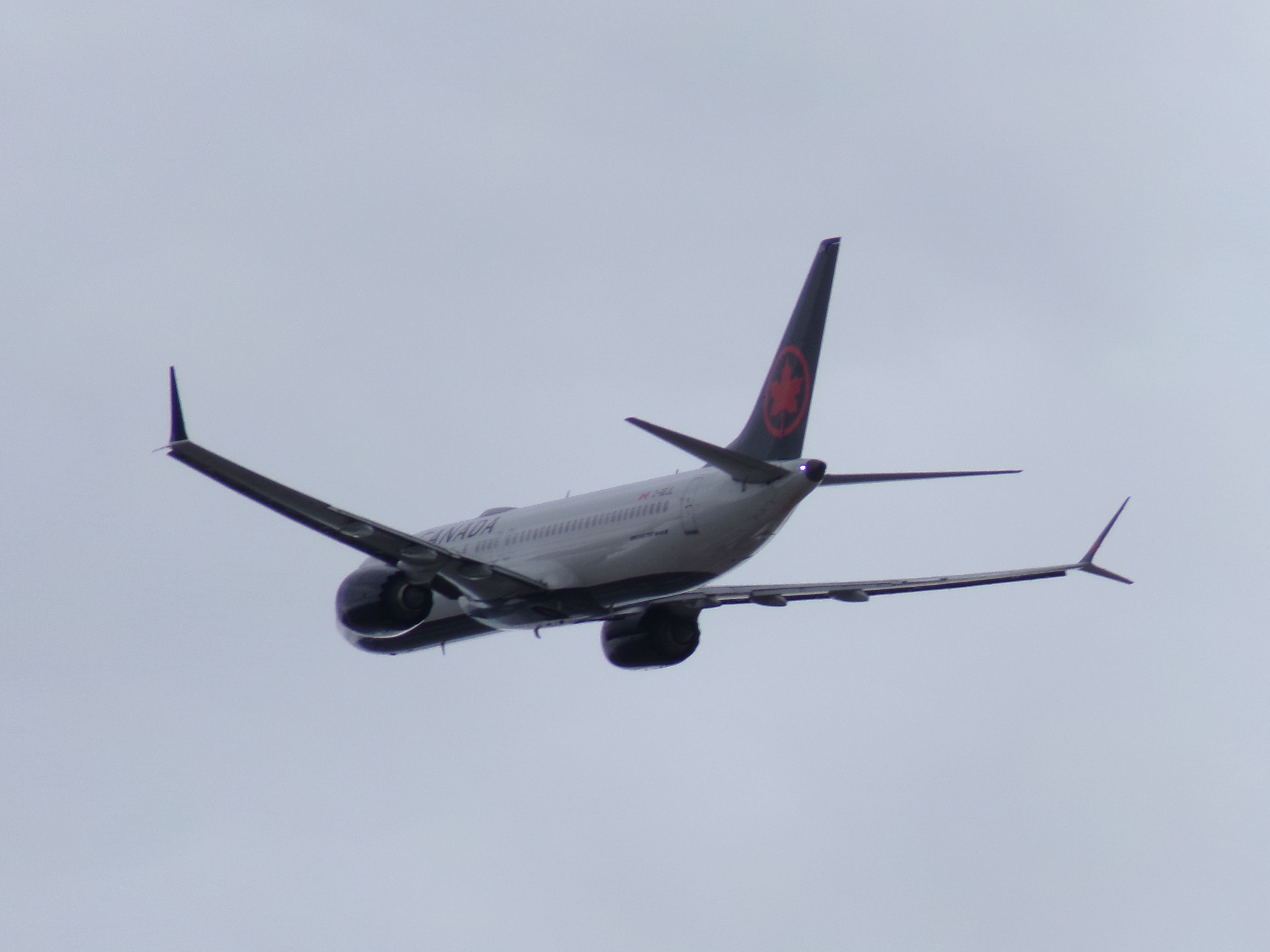 Spotting