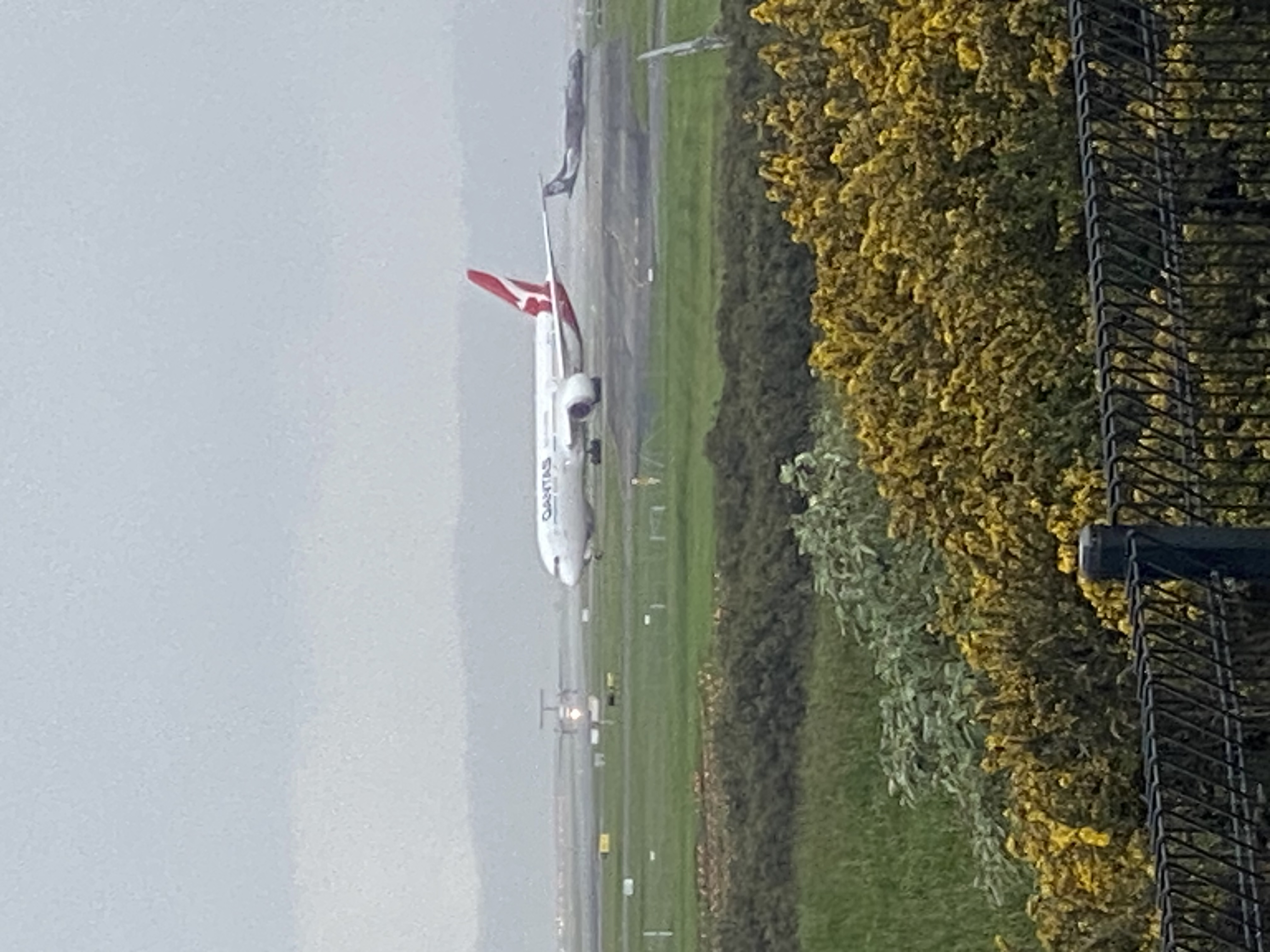 Spotting