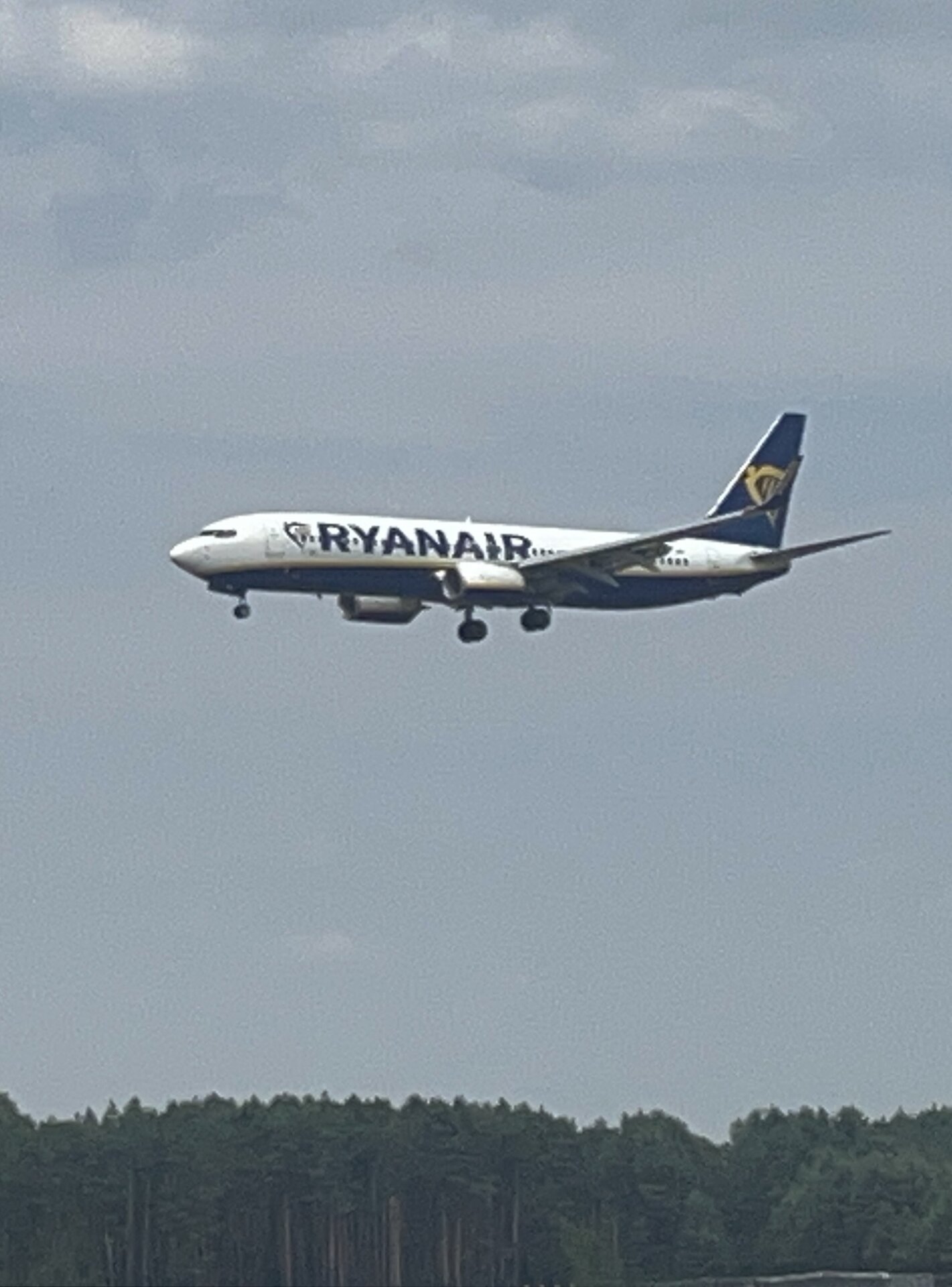 Boeing     737-800