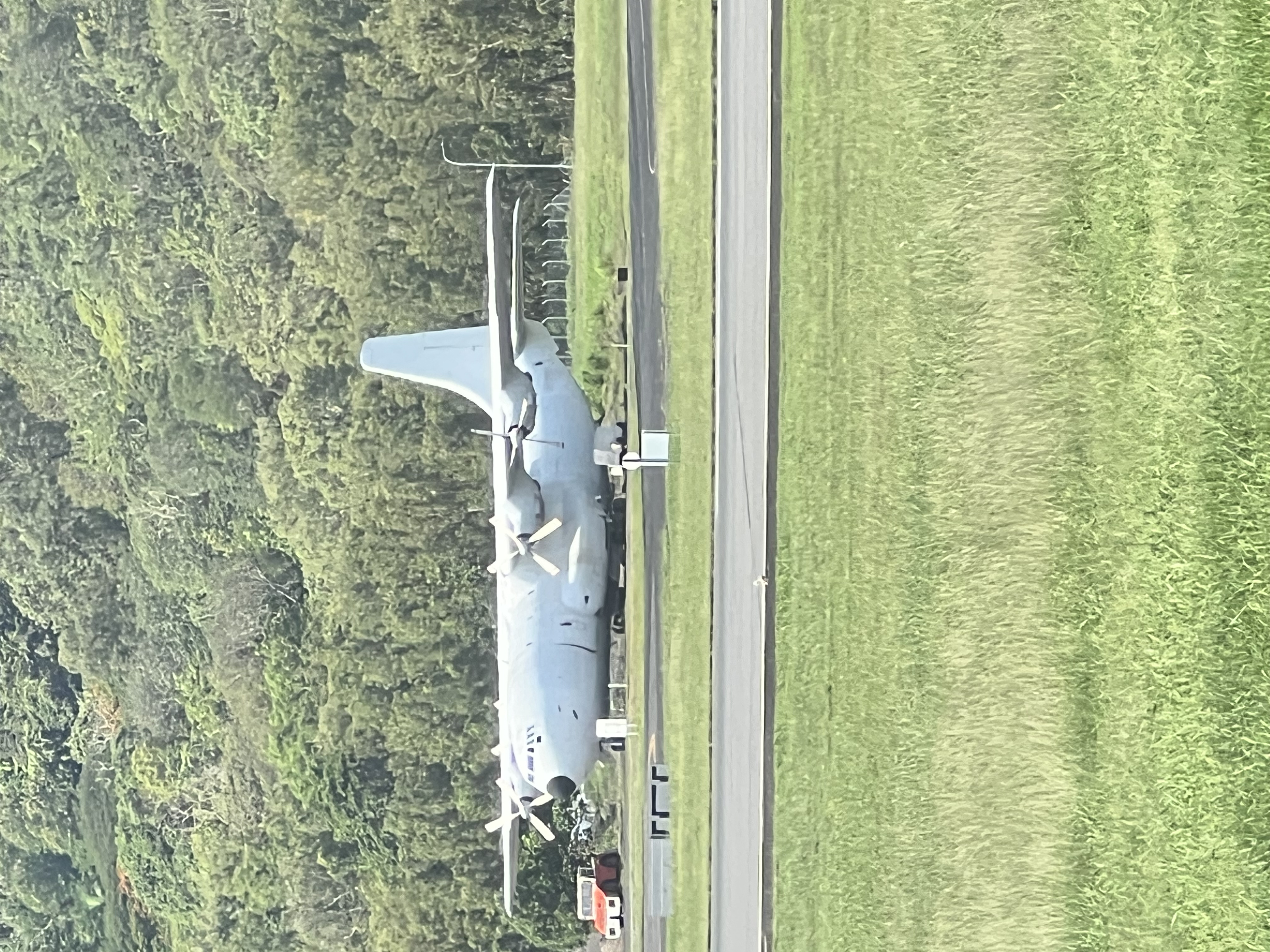 Spotting