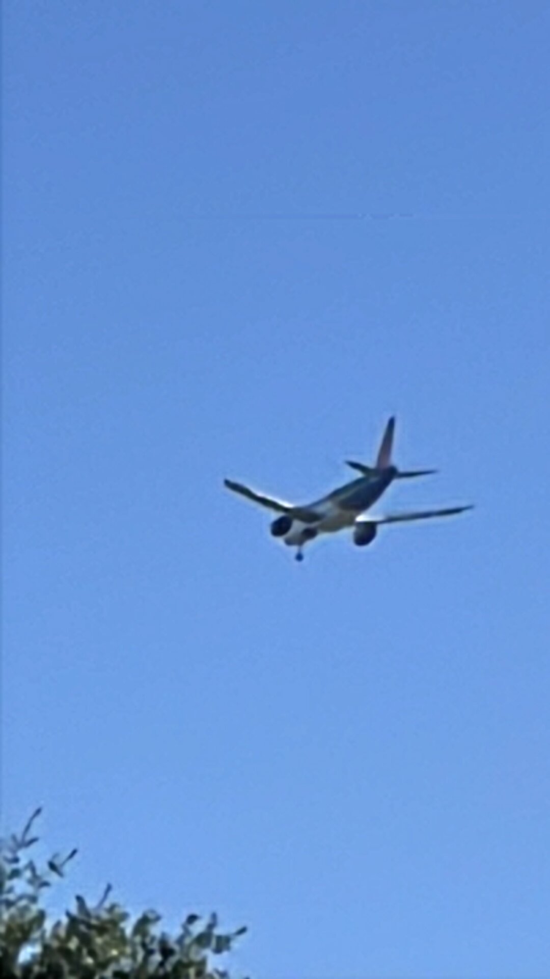 Spotting
