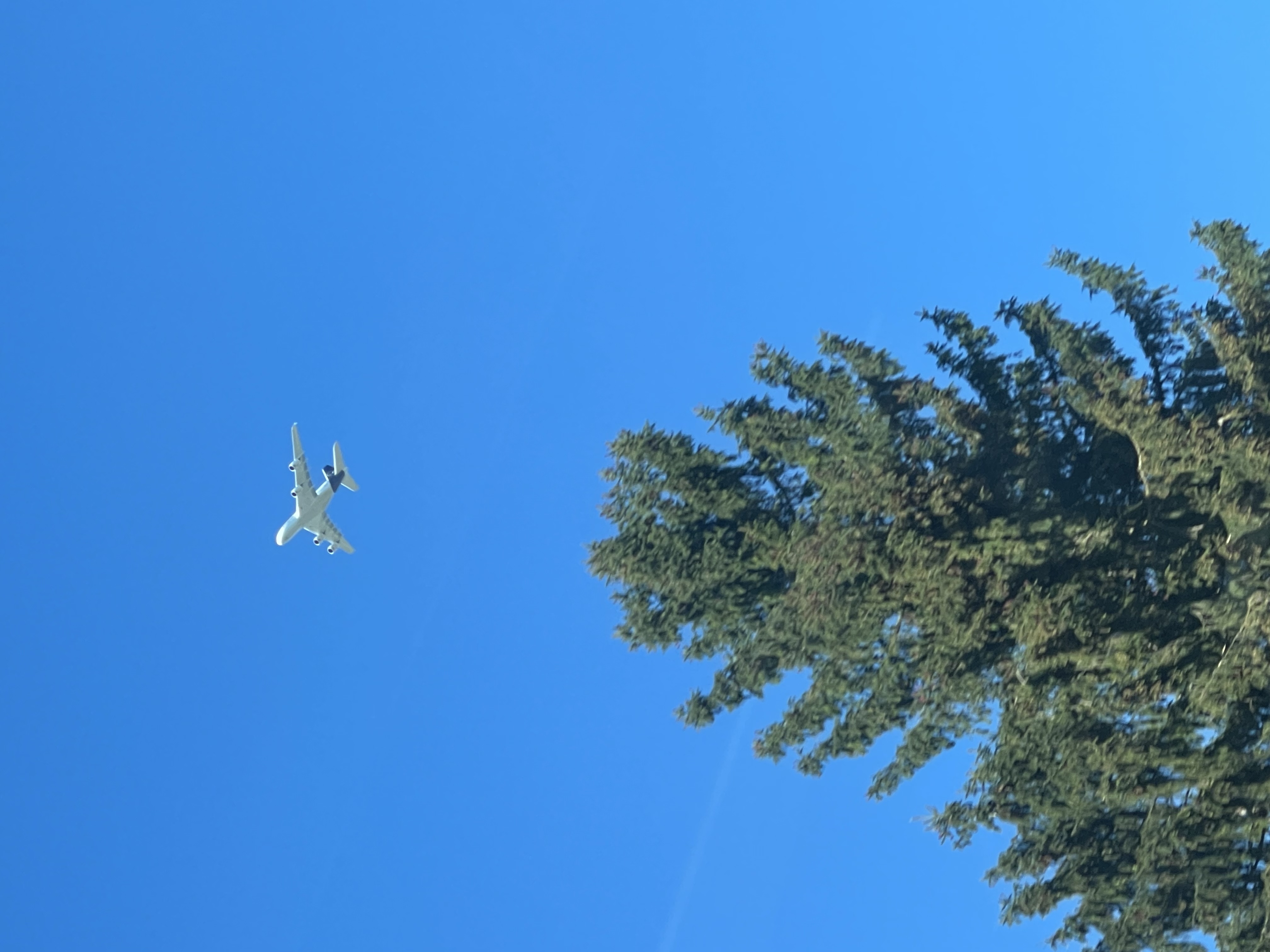 Aircraft
