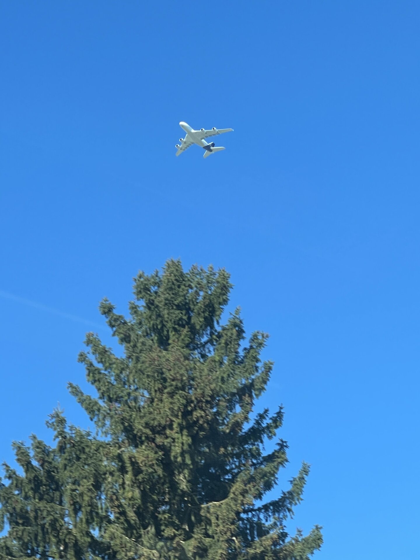 Spotting