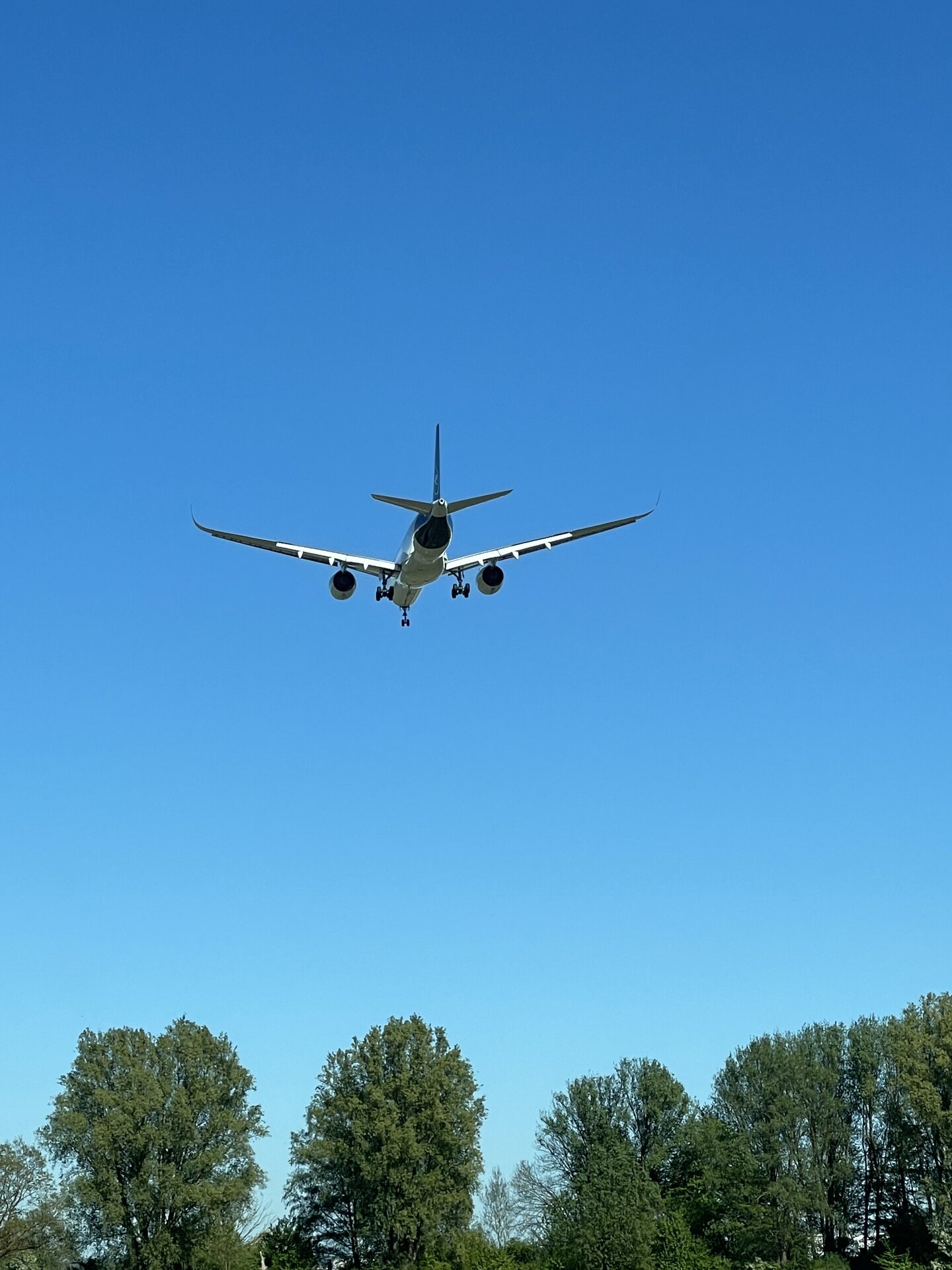 Spotting