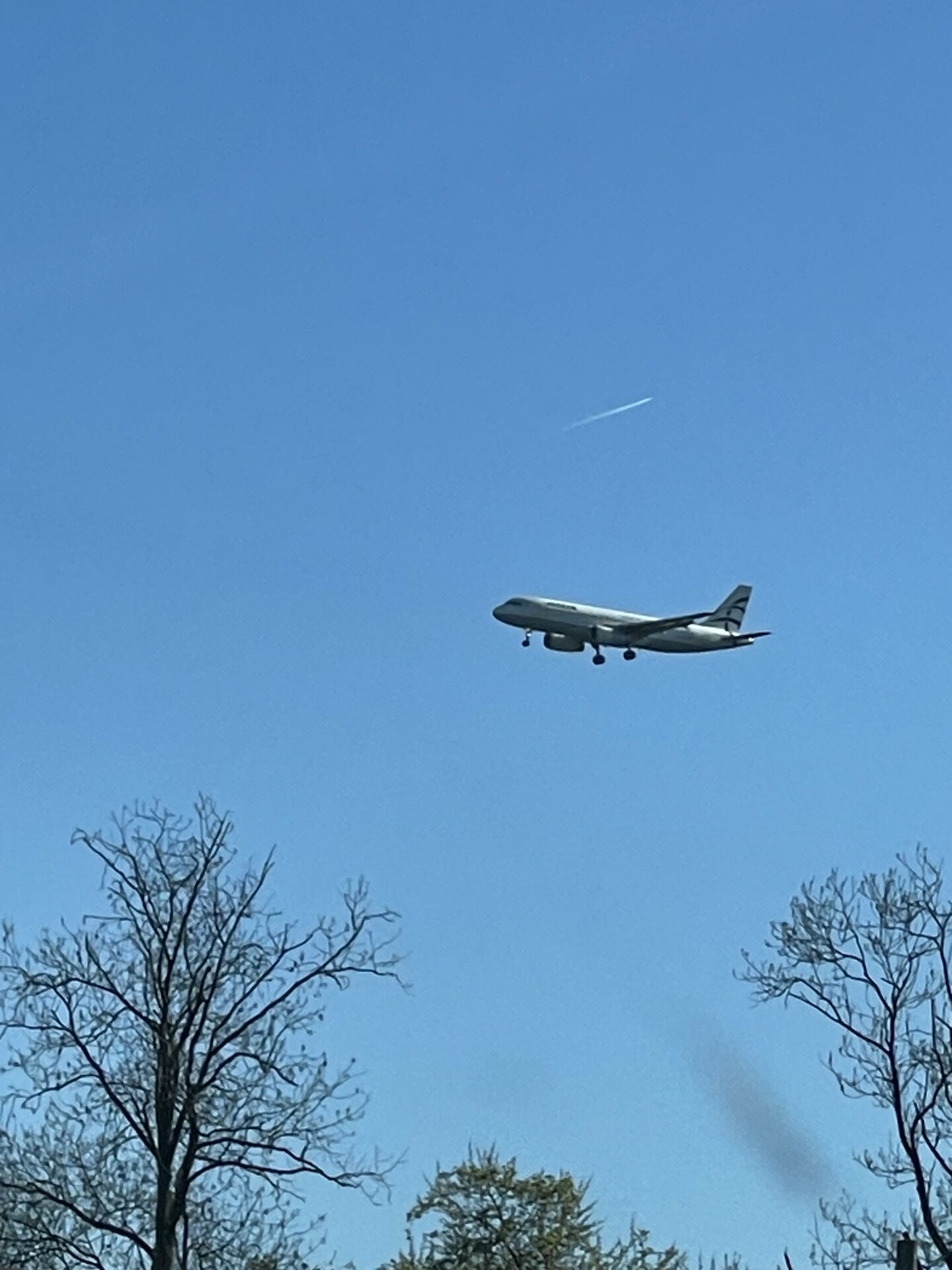 Spotting